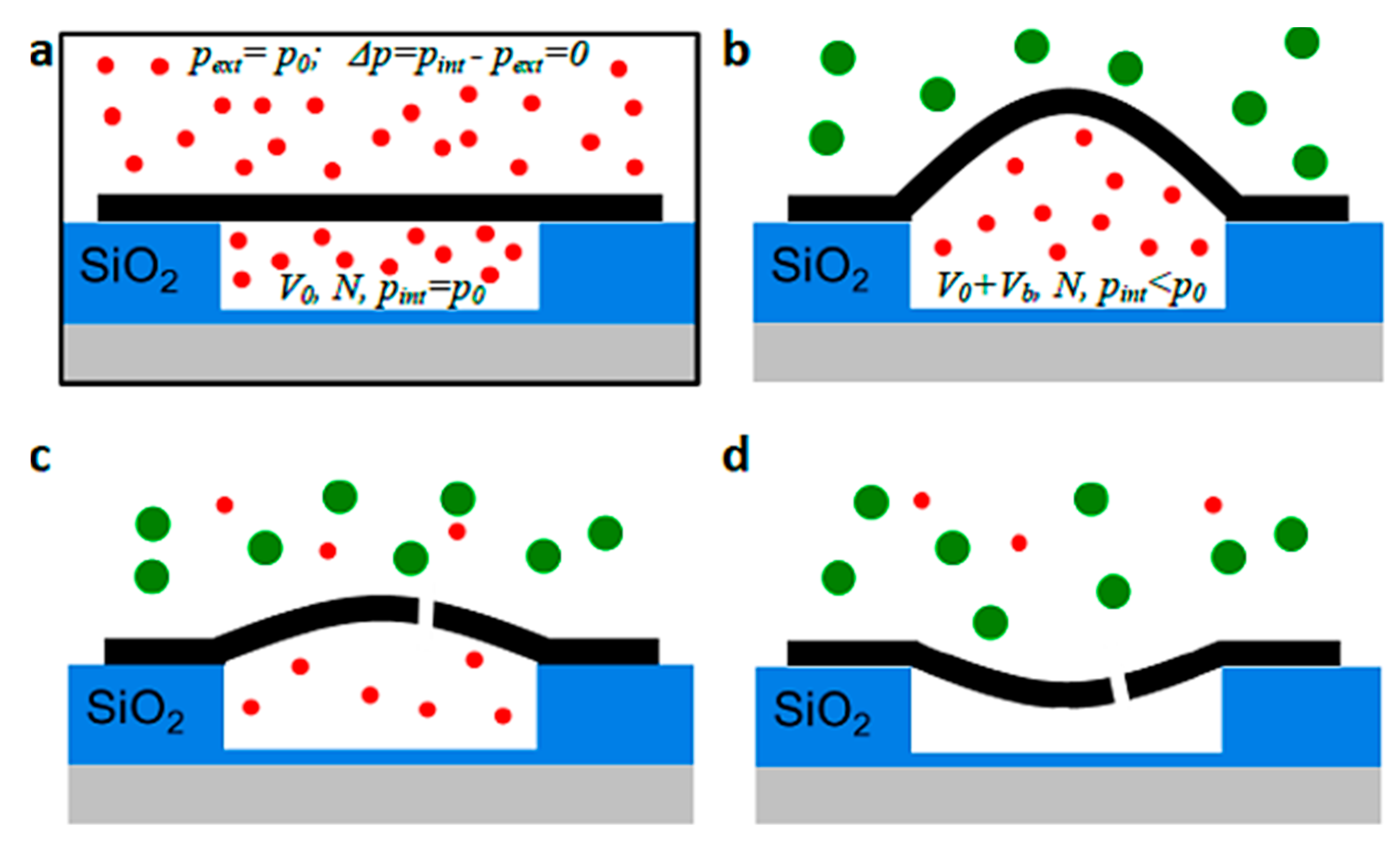 Processes 11 00927 g004