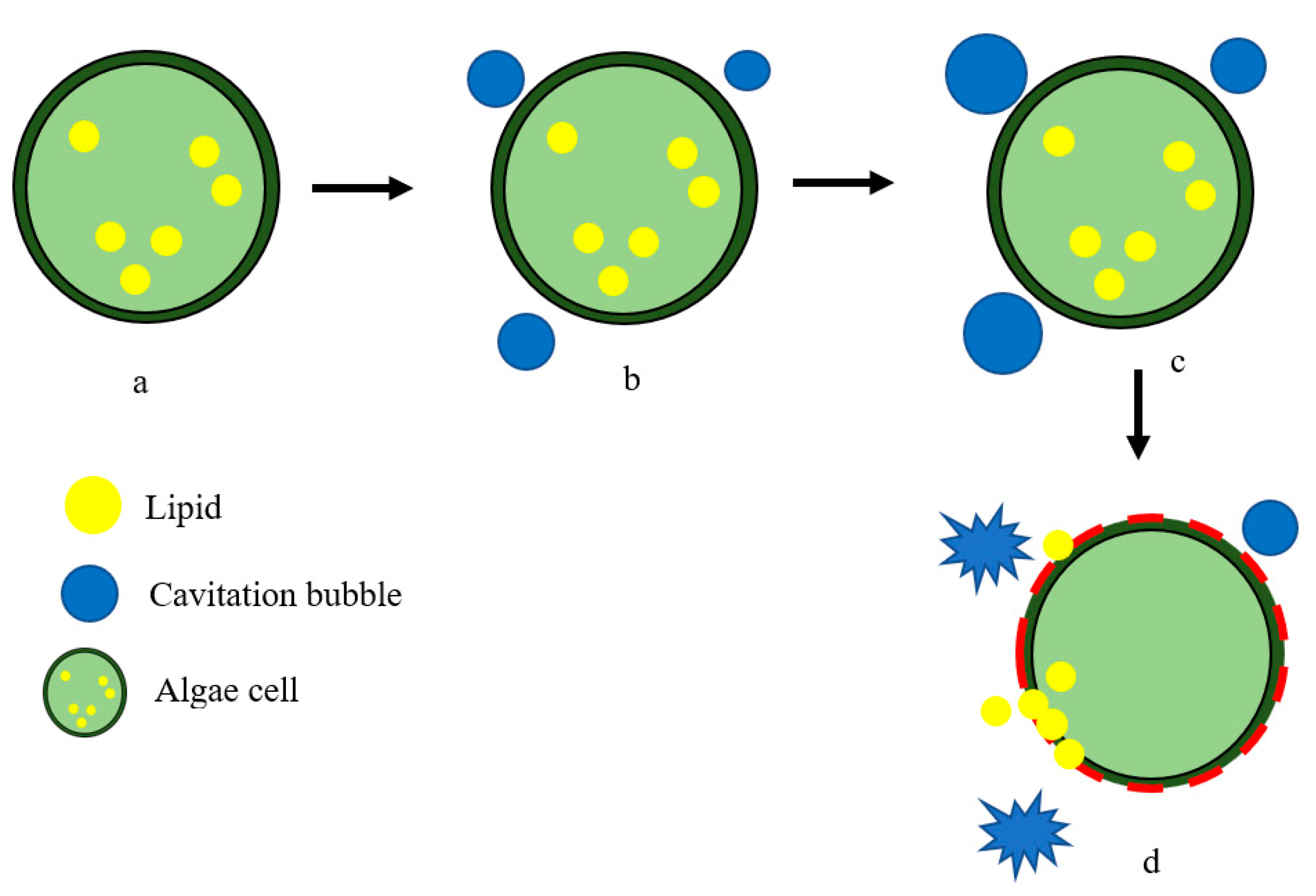 Processes 11 01236 g005