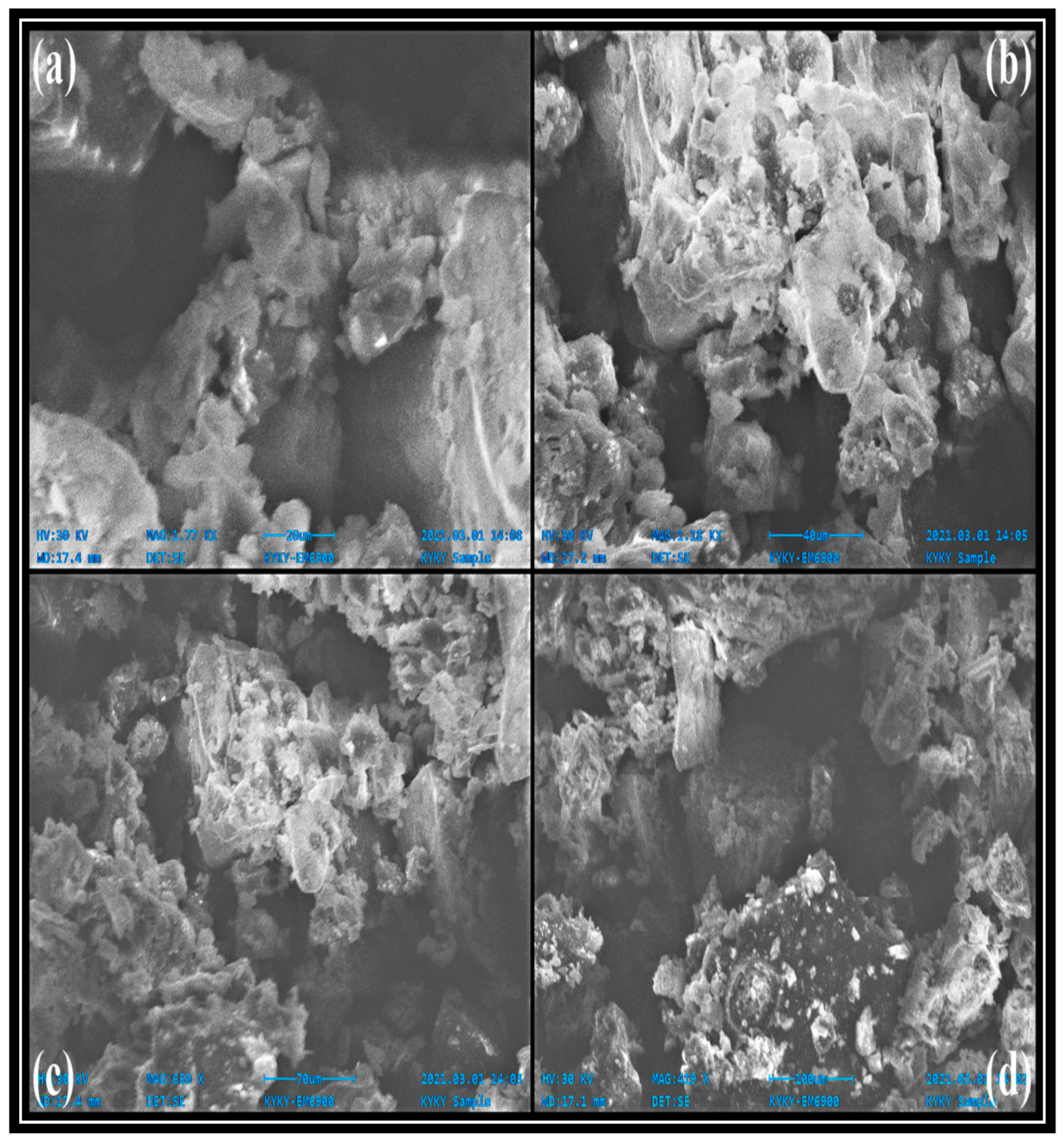 Processes 11 01857 g003