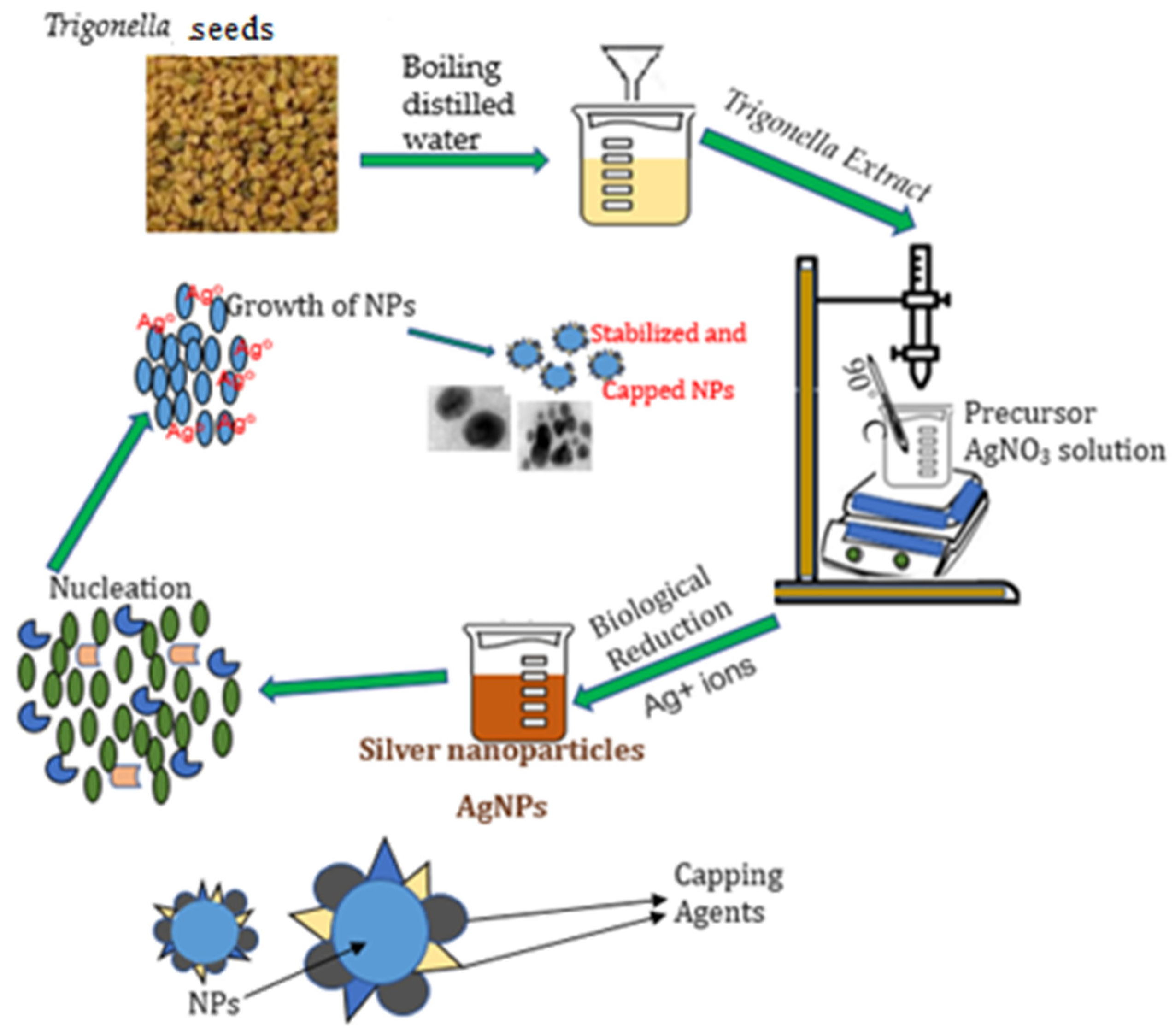 Processes 11 02394 g001