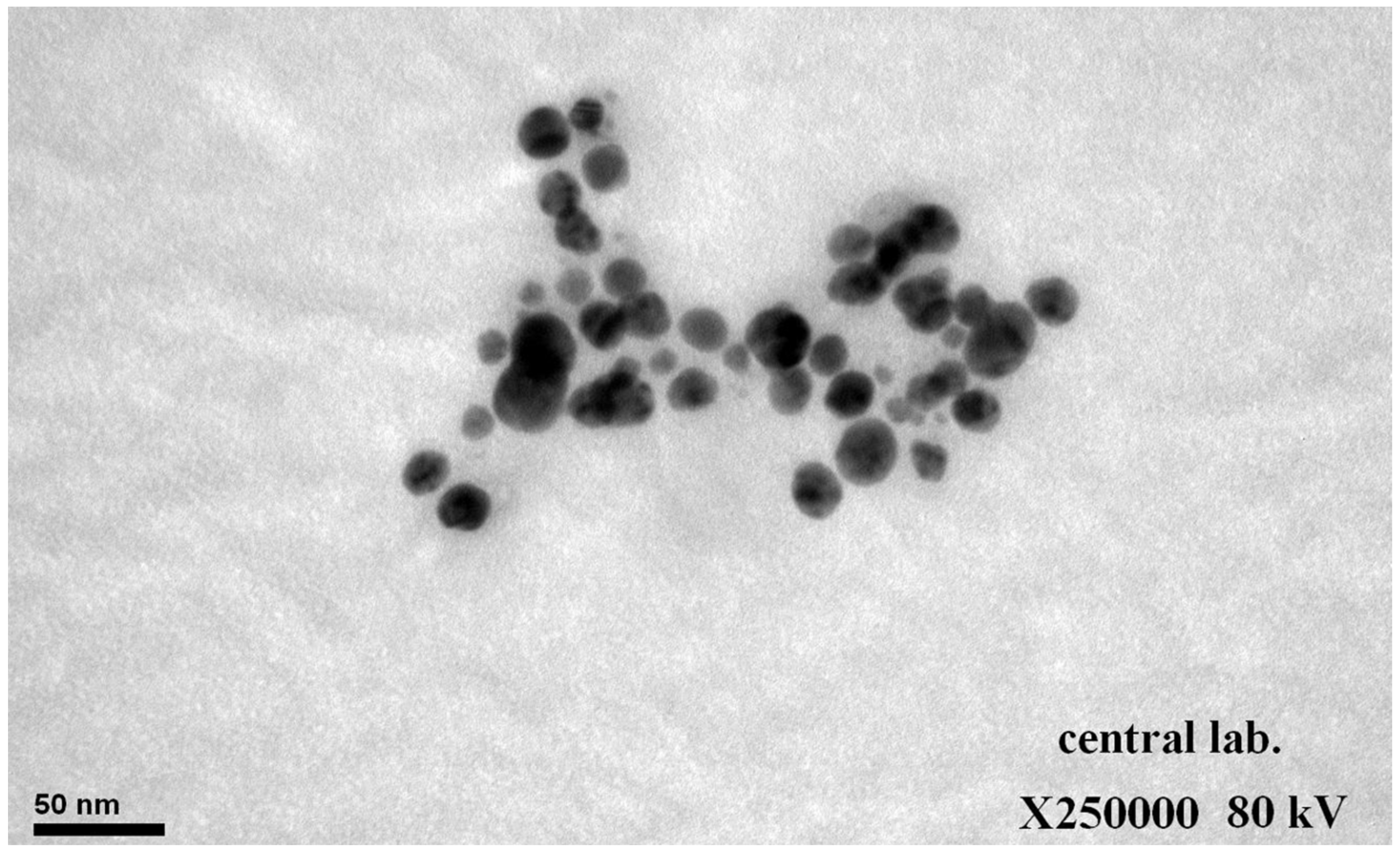 Processes 11 02394 g004