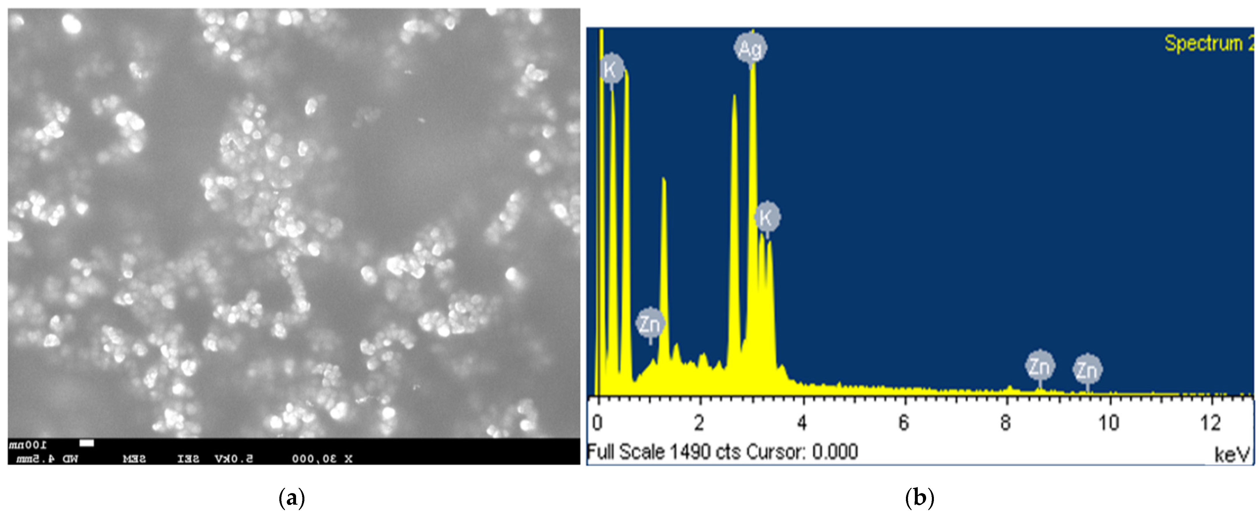 Processes 11 02394 g005