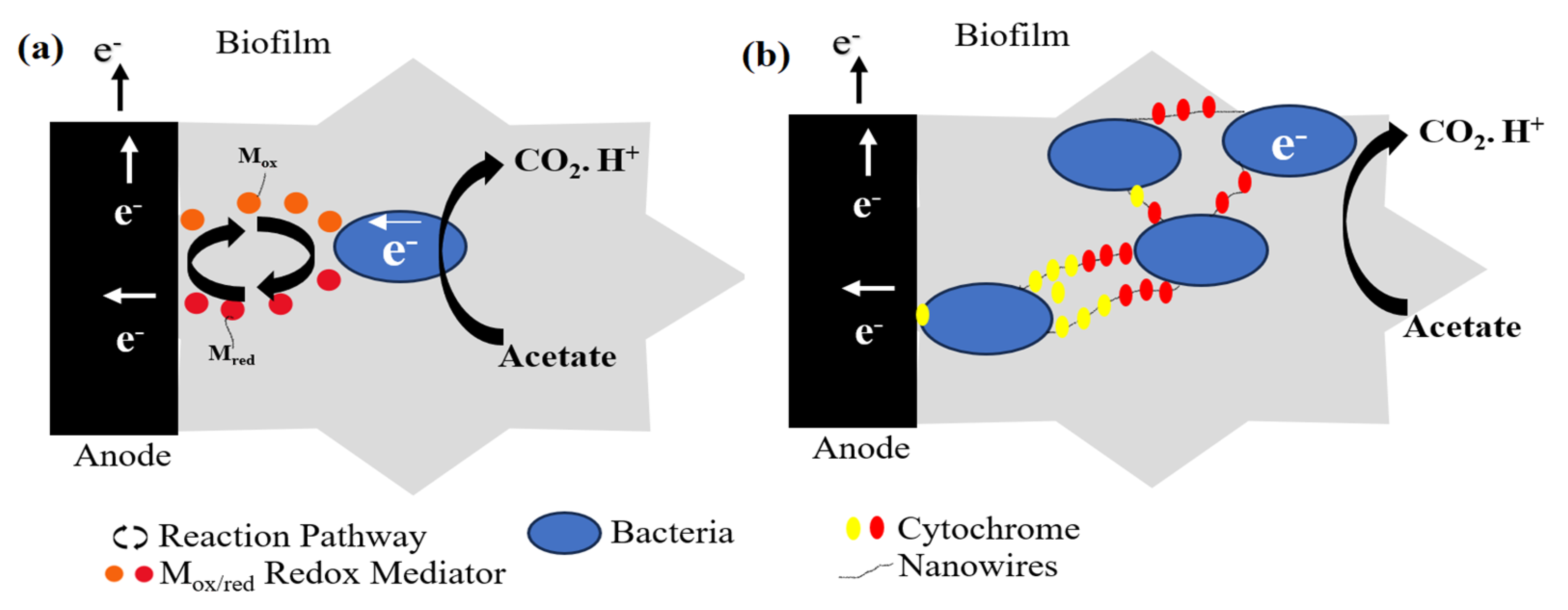 Processes 11 02451 g006