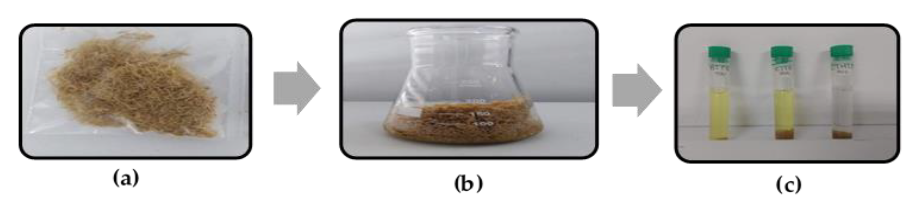 Processes 11 03115 g0a1