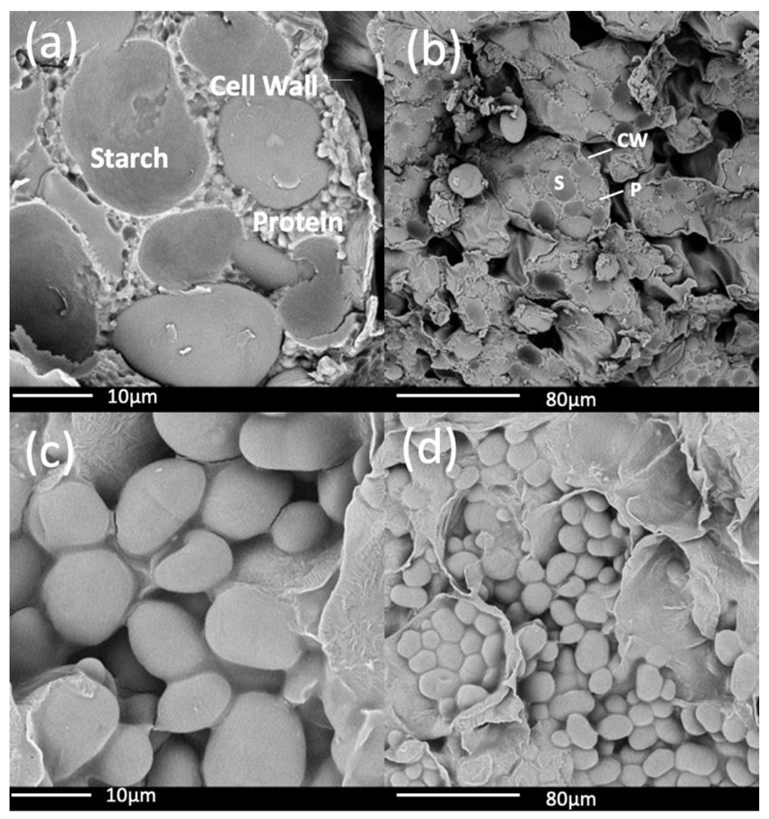 Processes 11 03401 g004