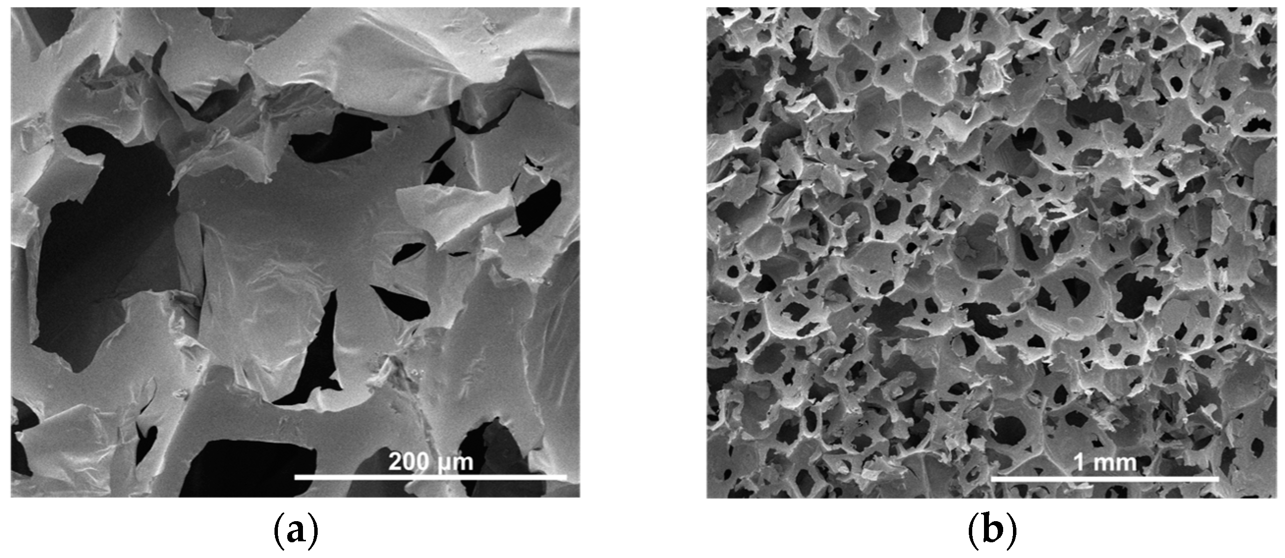 Processes 11 03416 g005