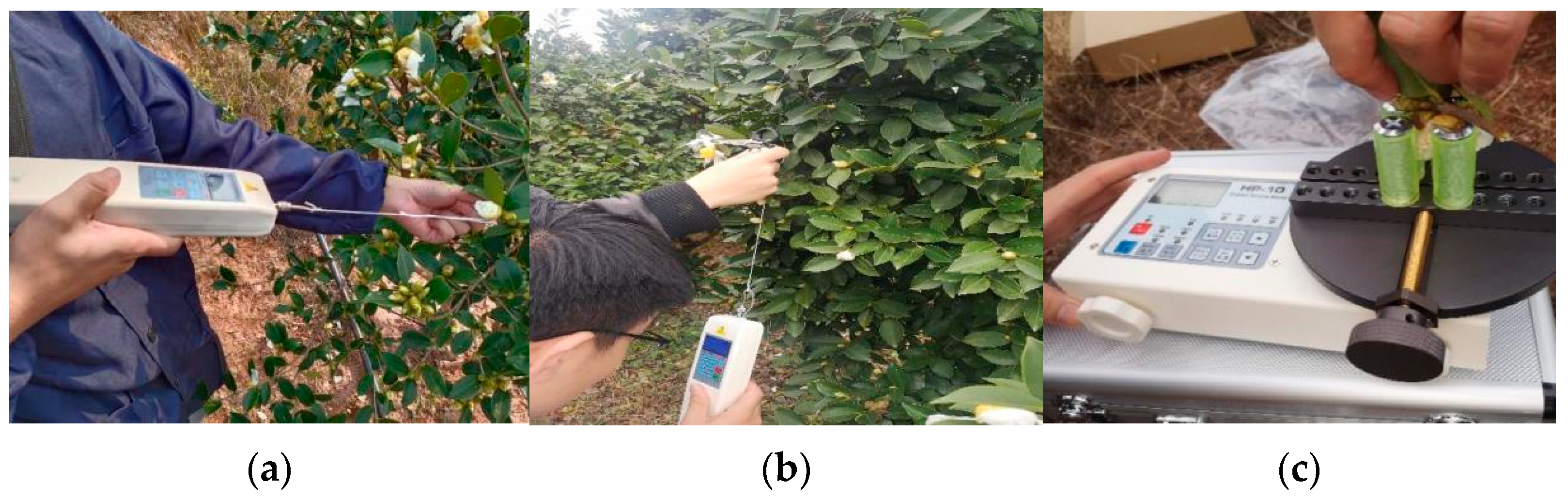 Processes 12 01023 g003