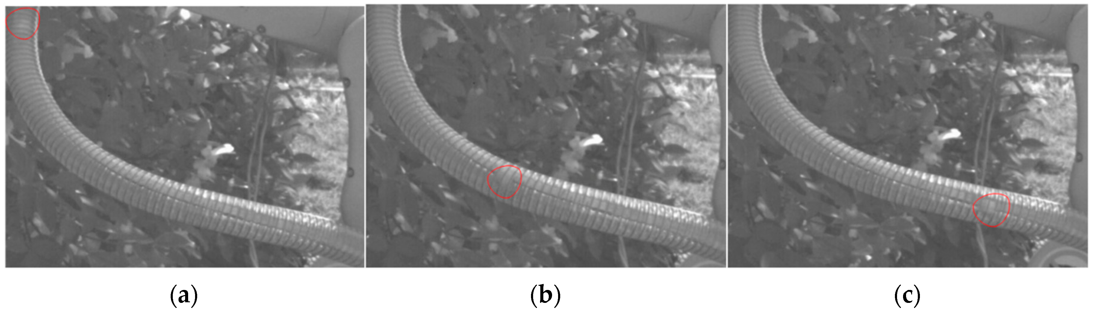 Processes 12 01023 g016