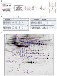 Proteomes 01 00040 g005 200