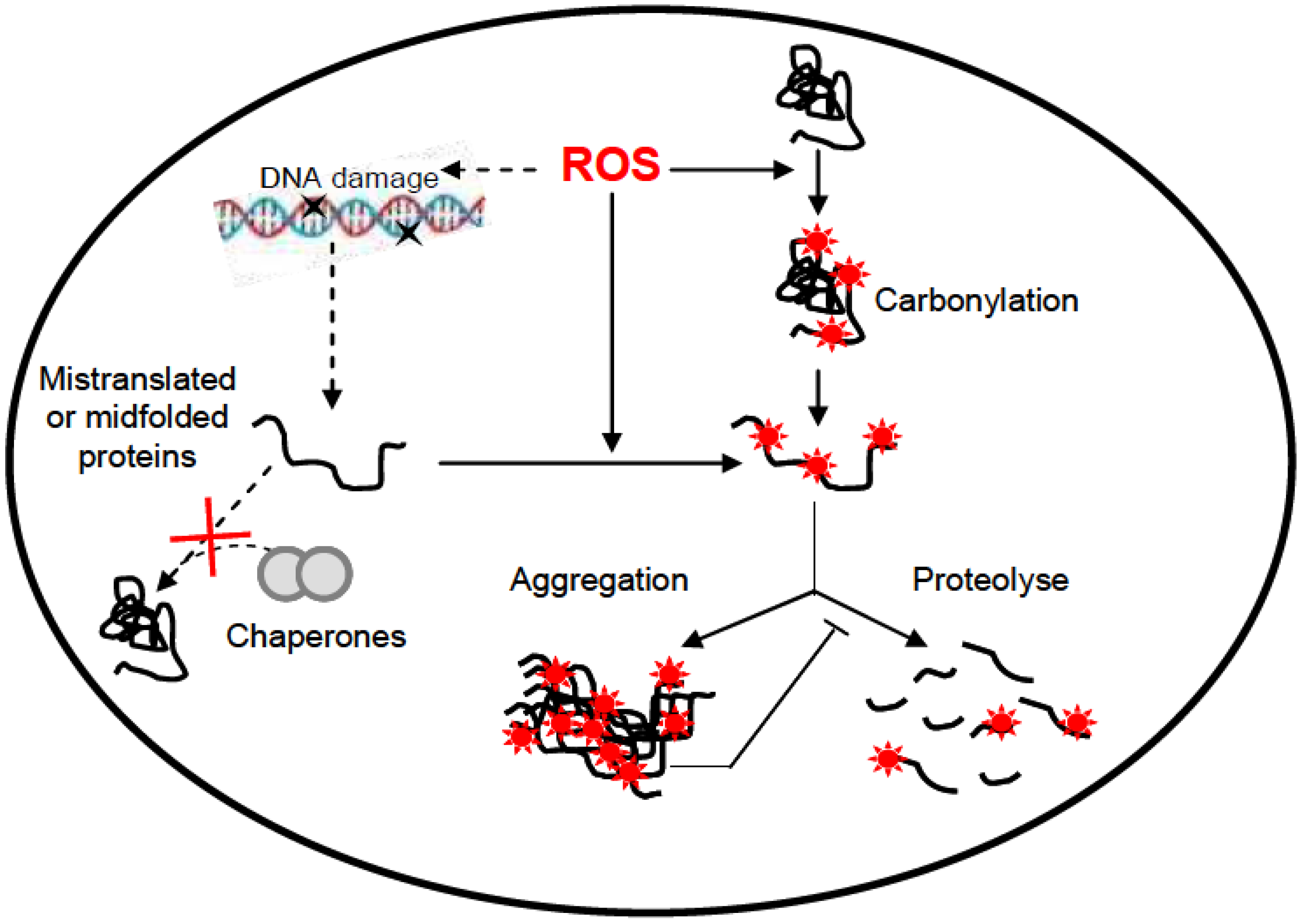 Proteomes 01 00070 g002