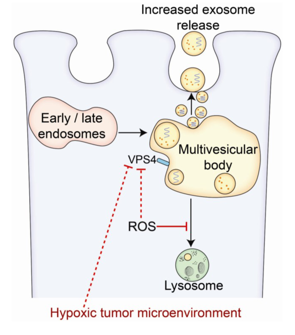 Proteomes 01 00087 g003 1024