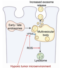 Proteomes 01 00087 g003 200