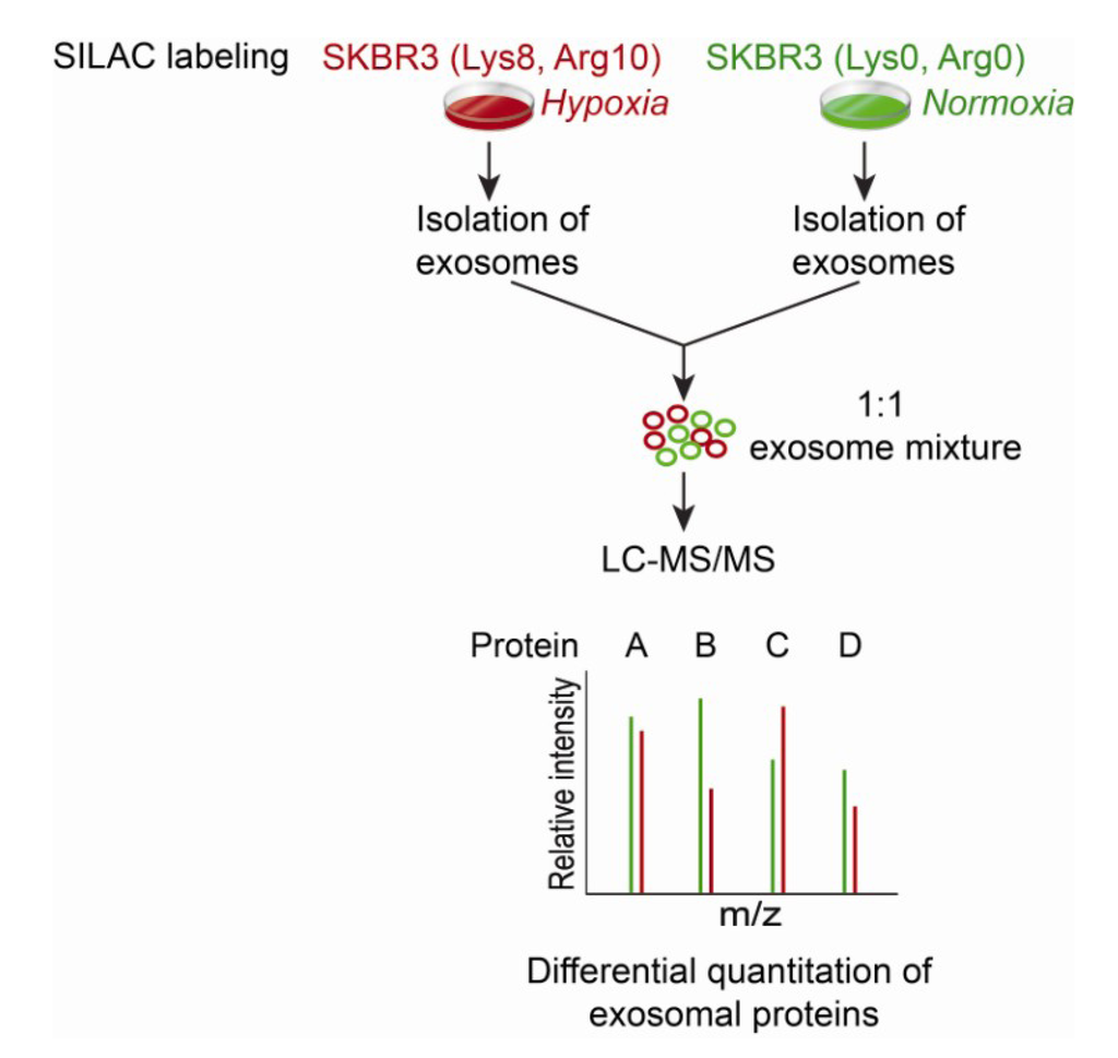 Proteomes 01 00087 g004 1024
