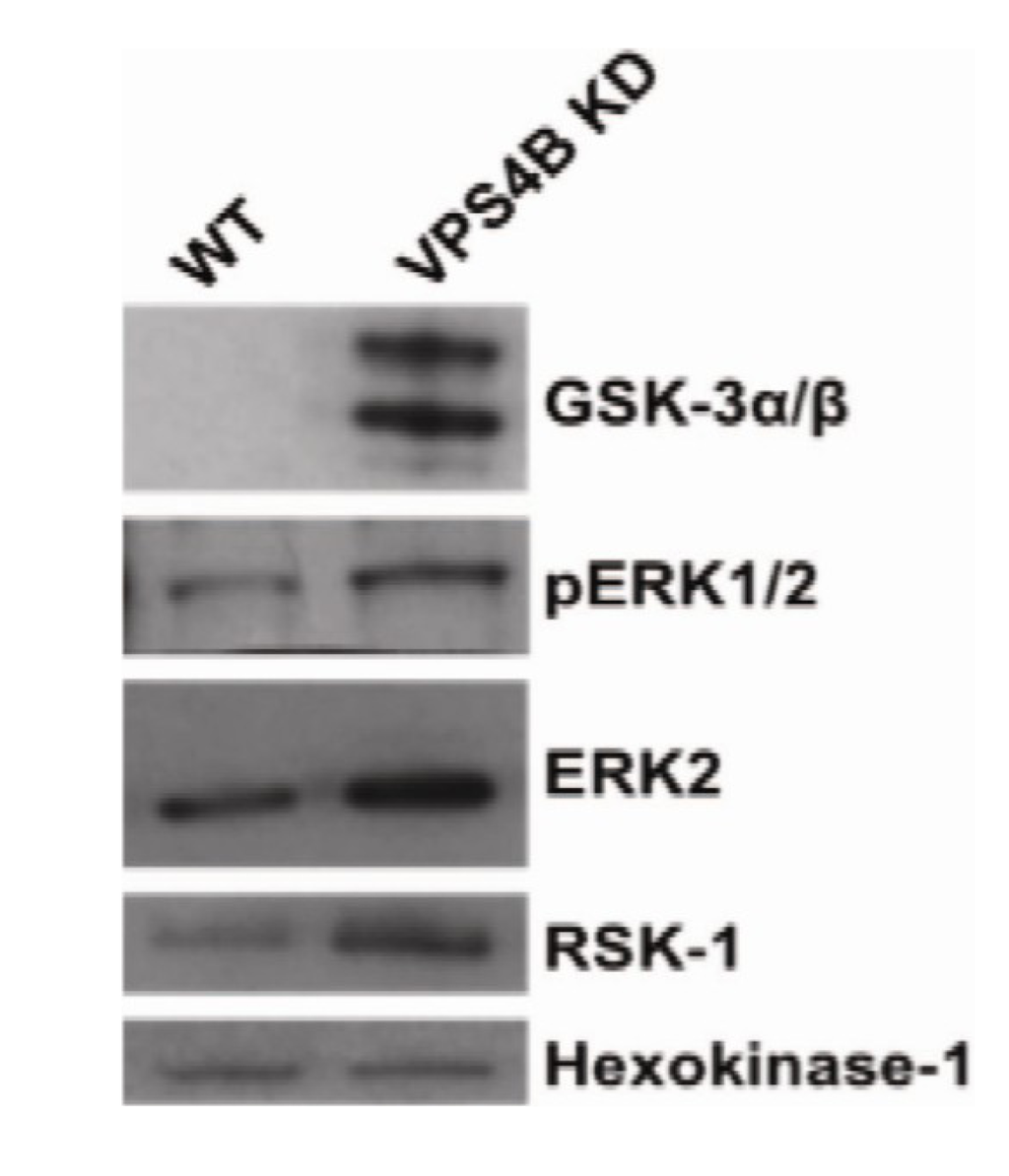 Proteomes 01 00087 g006 1024