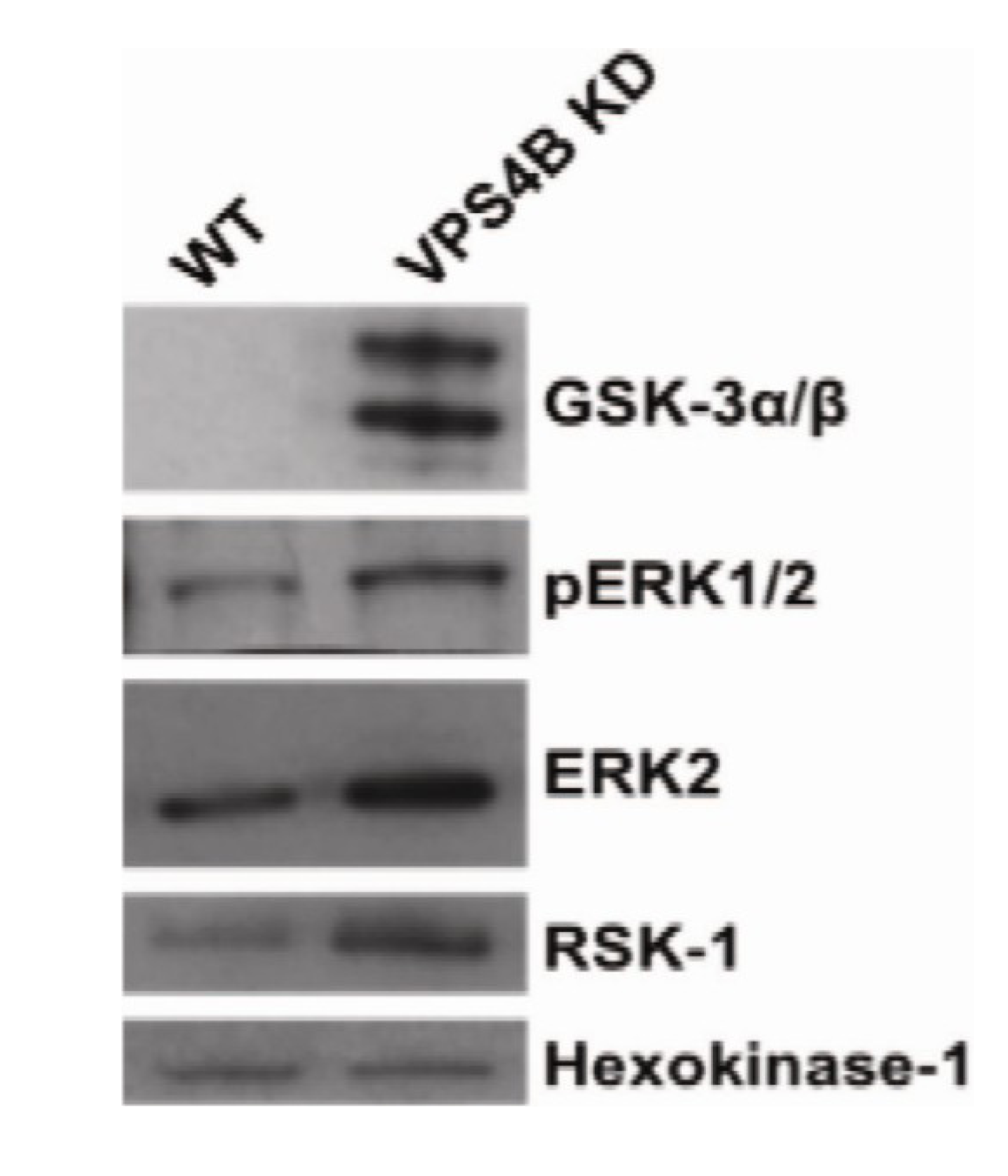 Proteomes 01 00087 g006