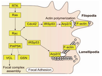 Proteomes 01 00087 g007 200