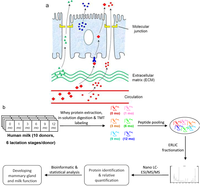 Proteomes 01 00128 g001 200