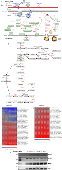 Proteomes 01 00128 g003 200
