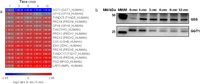 Proteomes 01 00128 g005 200