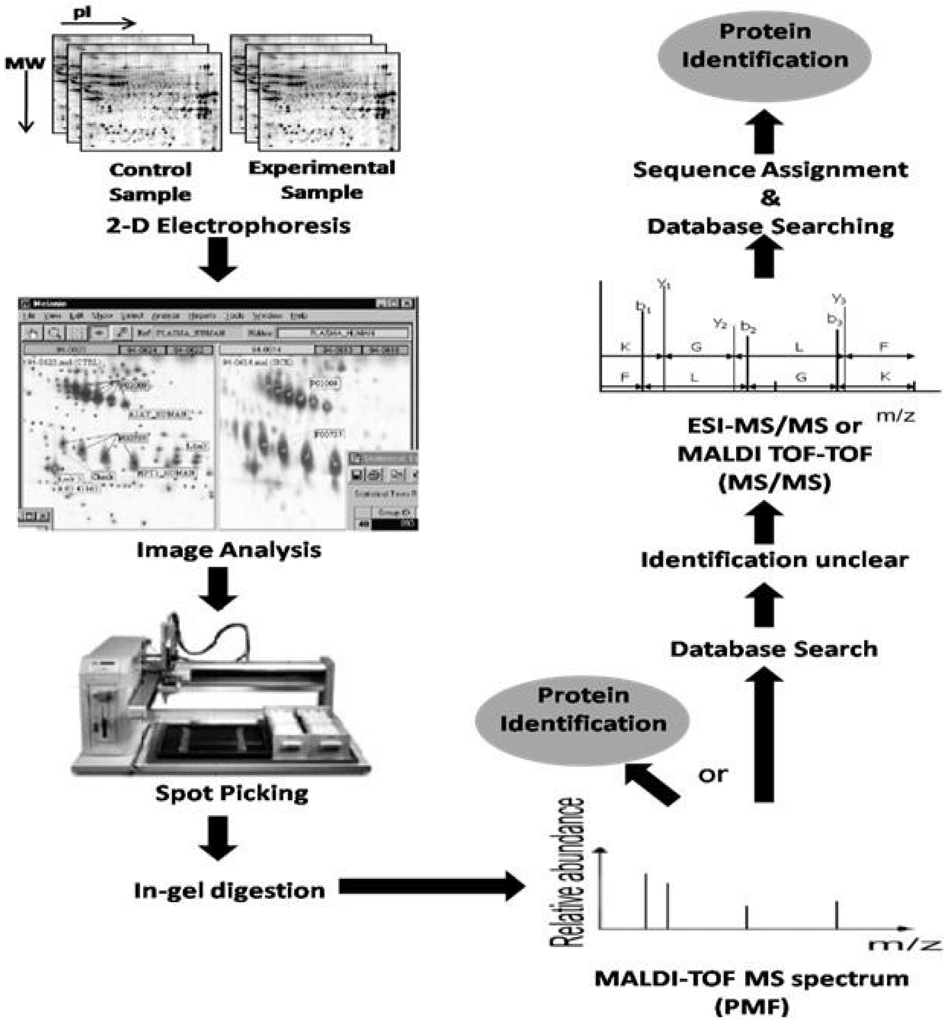 Proteomes 01 00159 g001