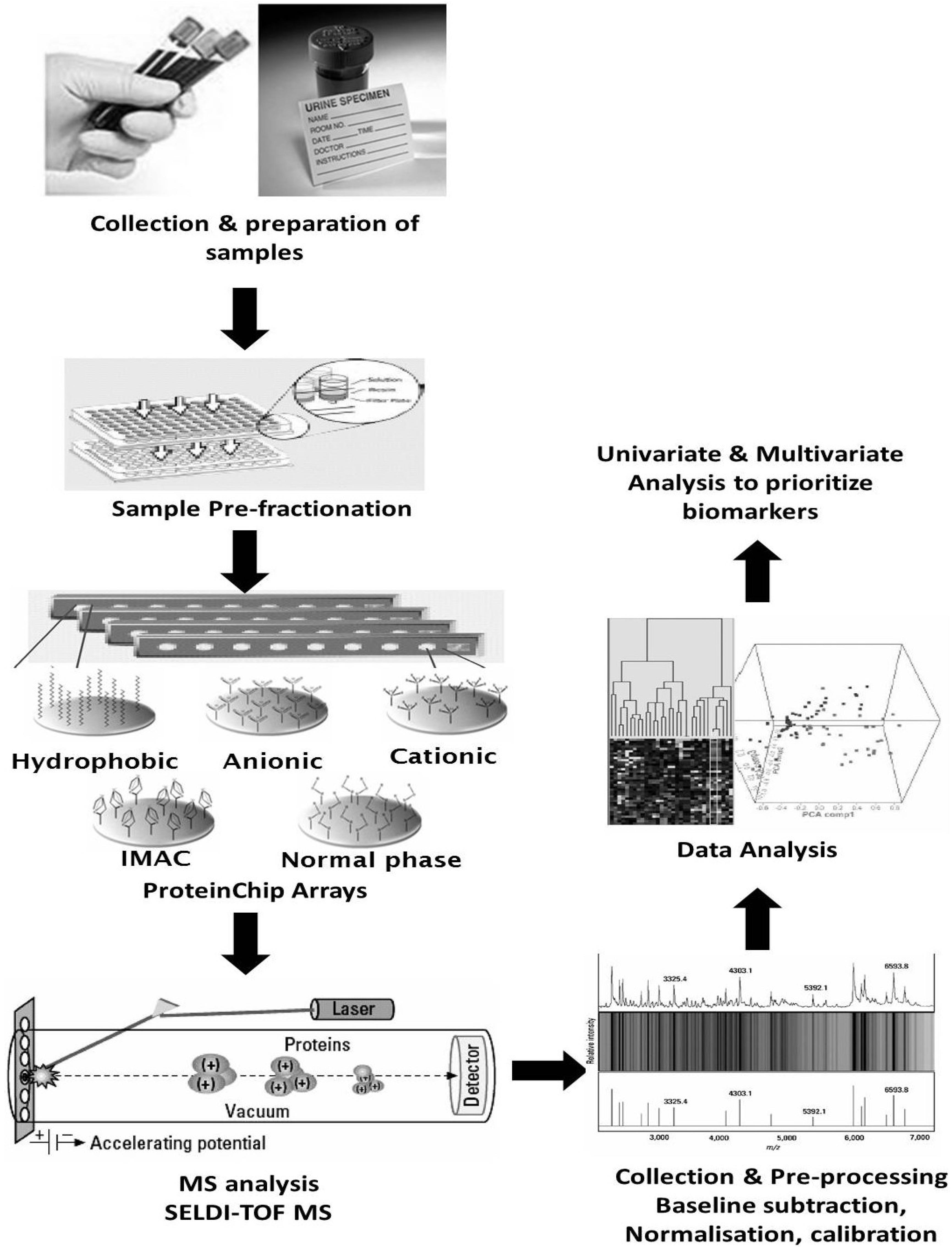 Proteomes 01 00159 g002
