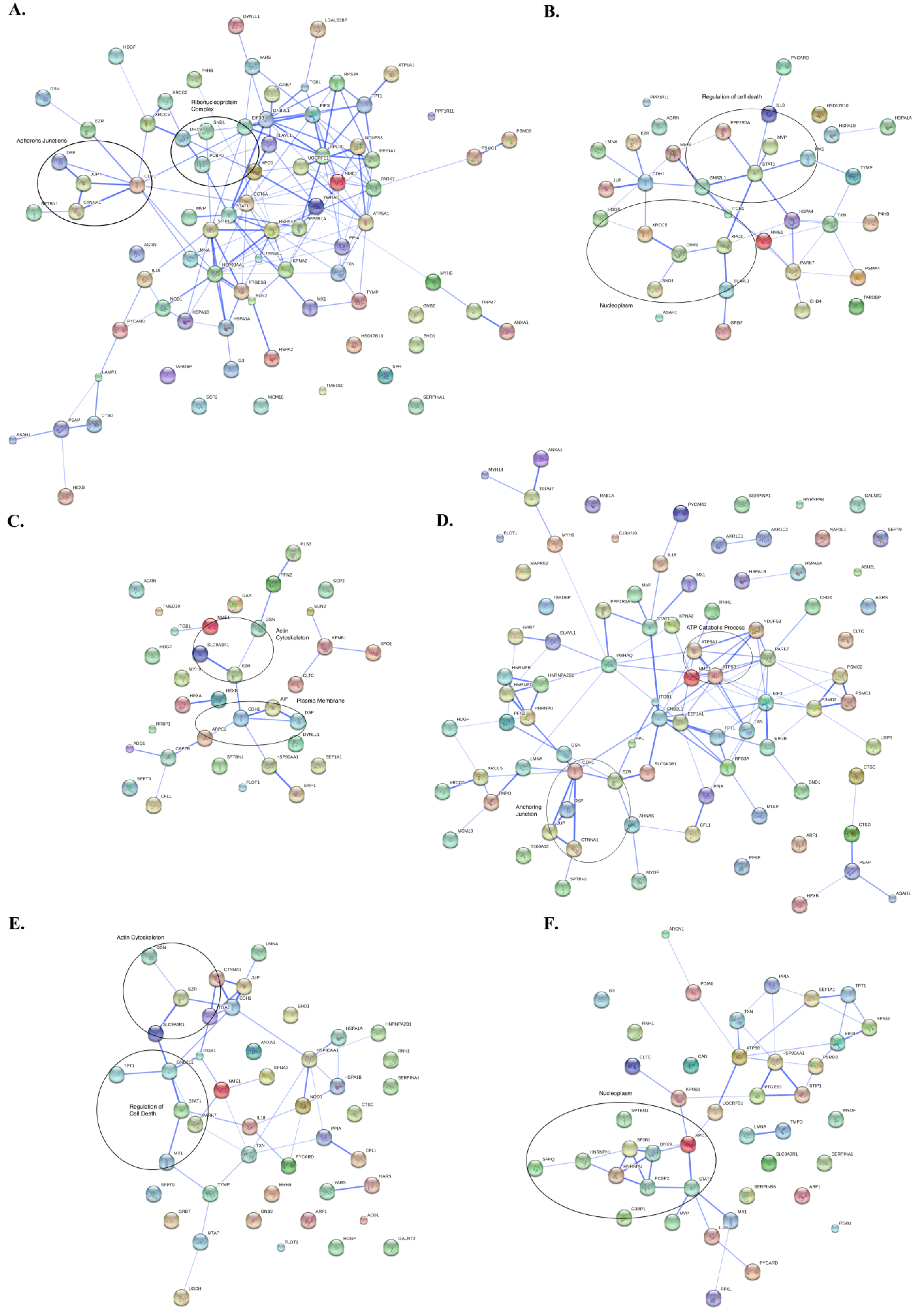 Proteomes 01 00219 g005