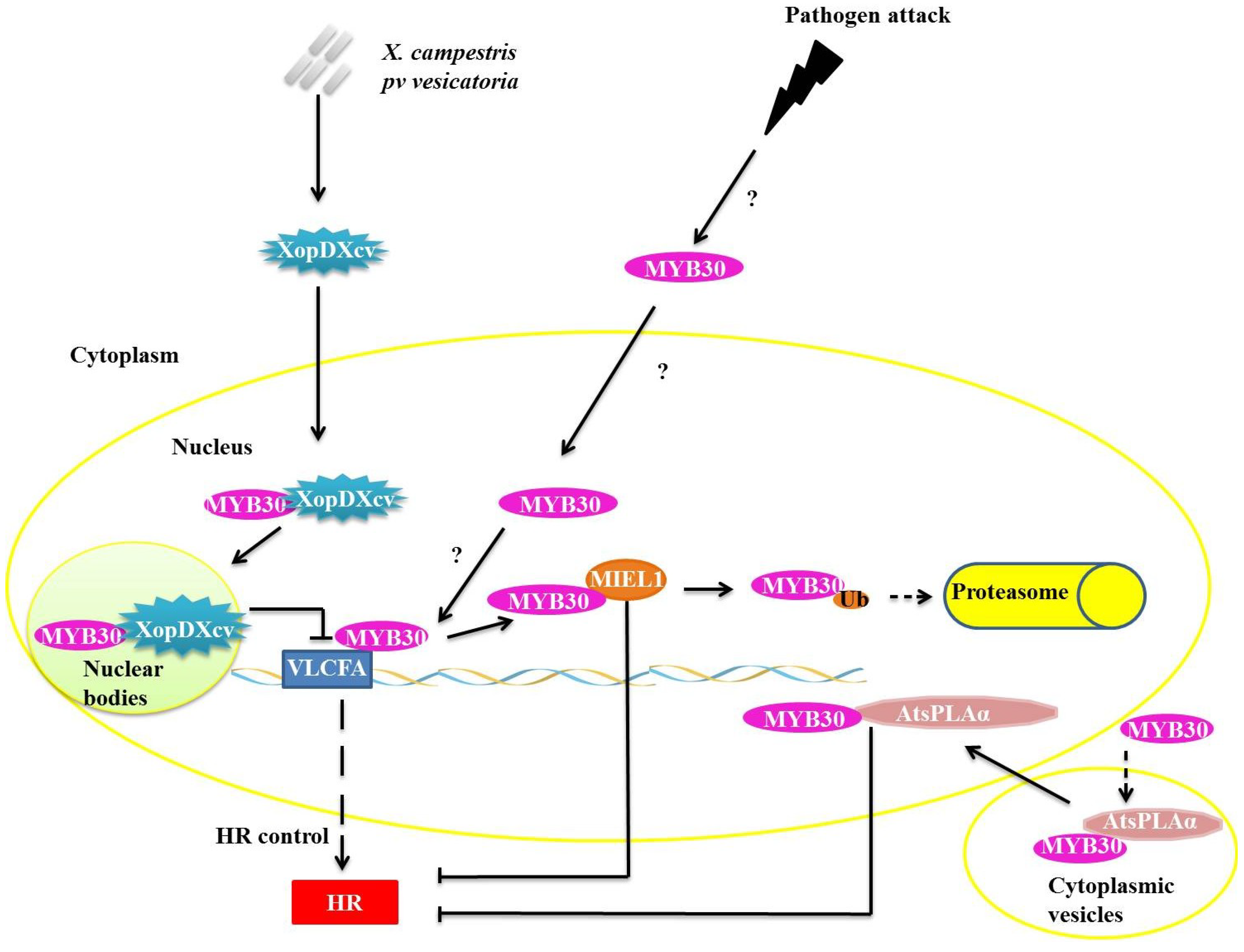 Proteomes 02 00085 g003
