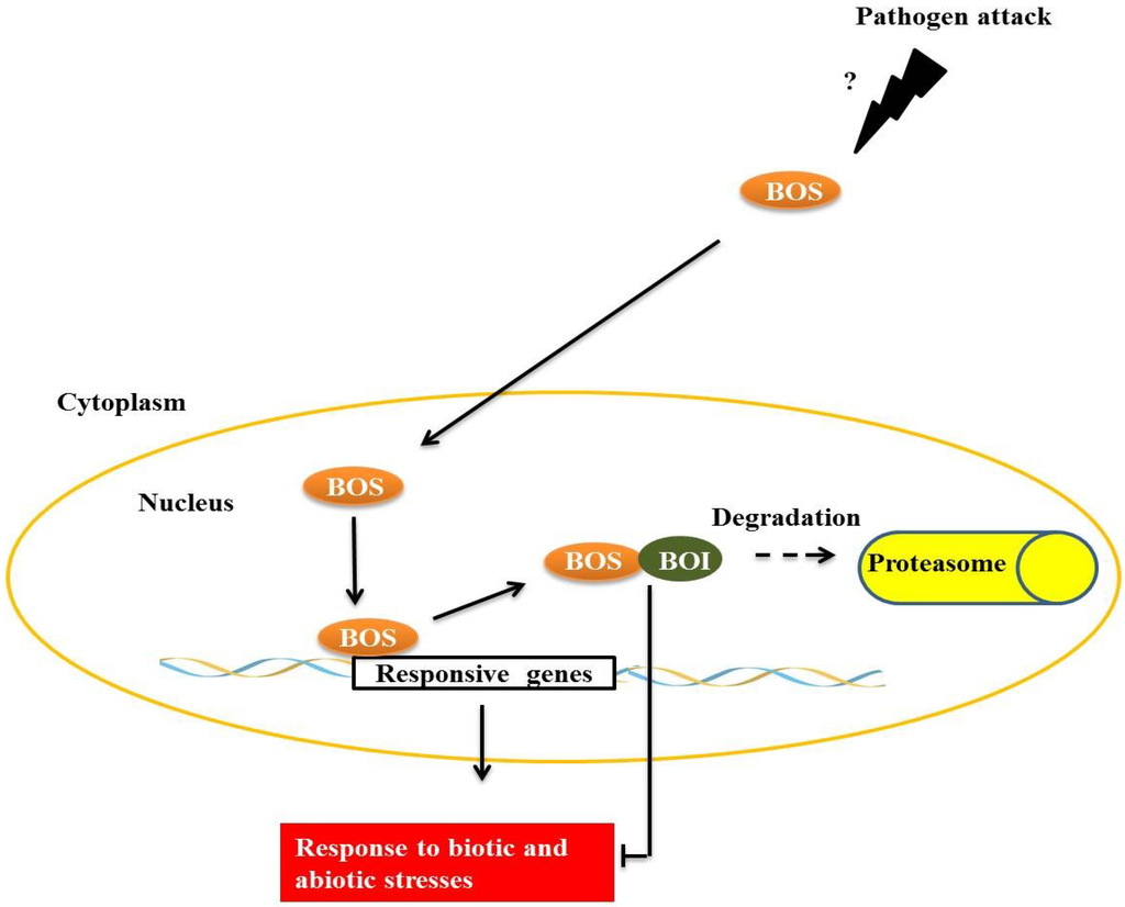 Proteomes 02 00085 g004 1024