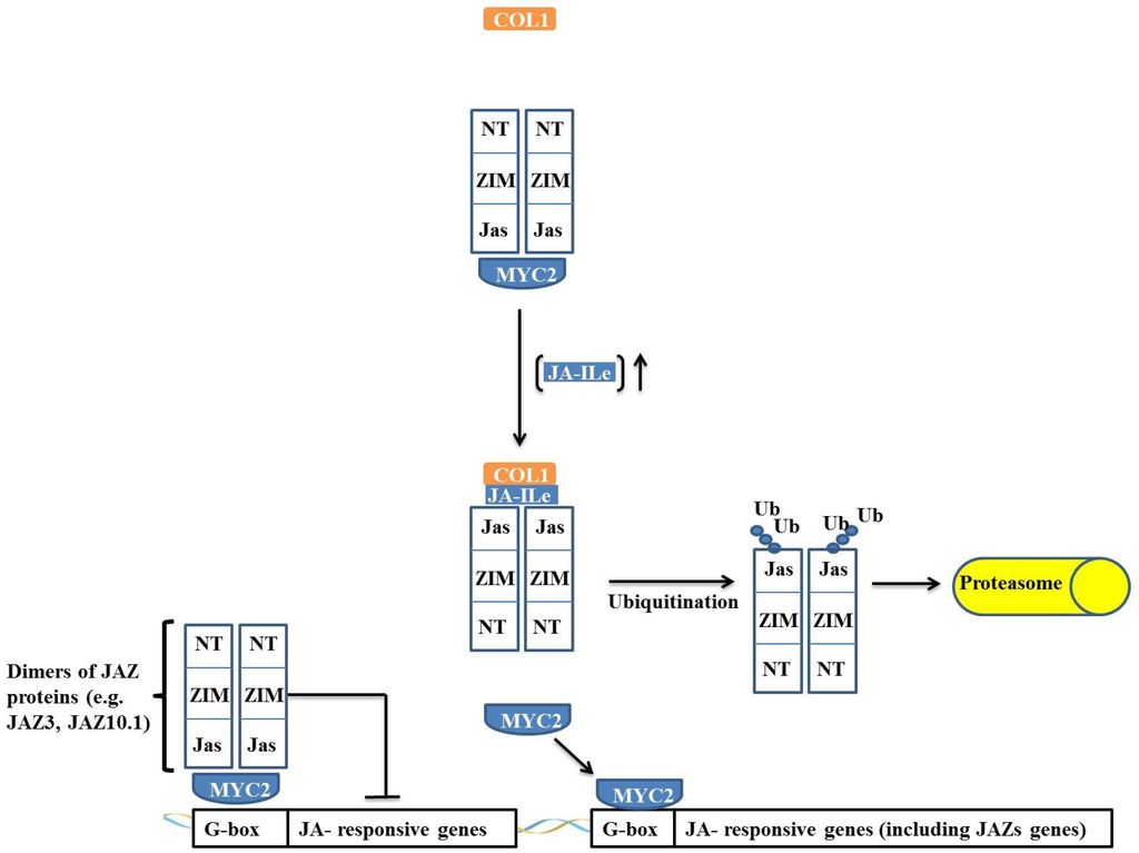 Proteomes 02 00085 g005 1024