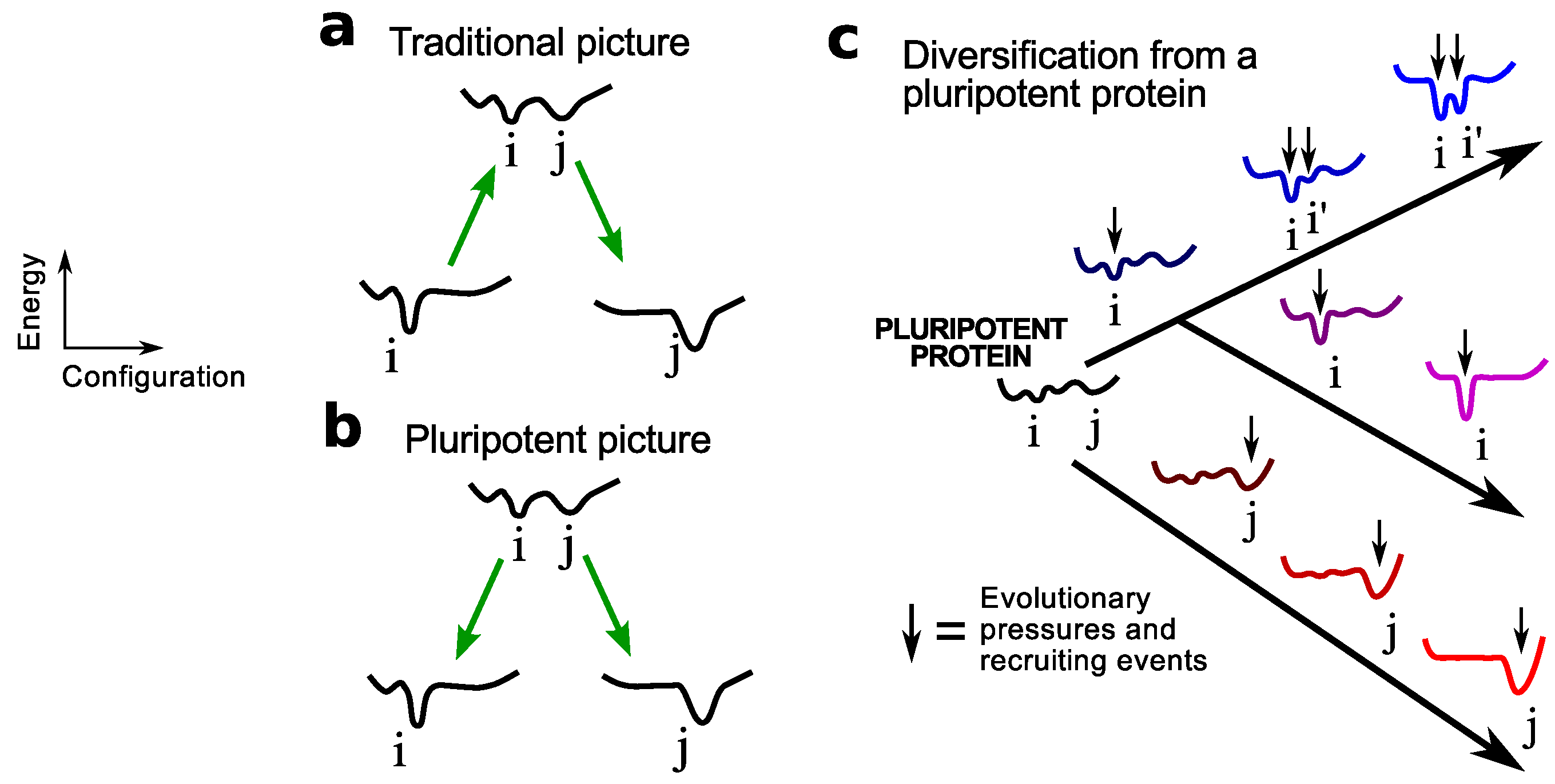 Proteomes 02 00154 g001