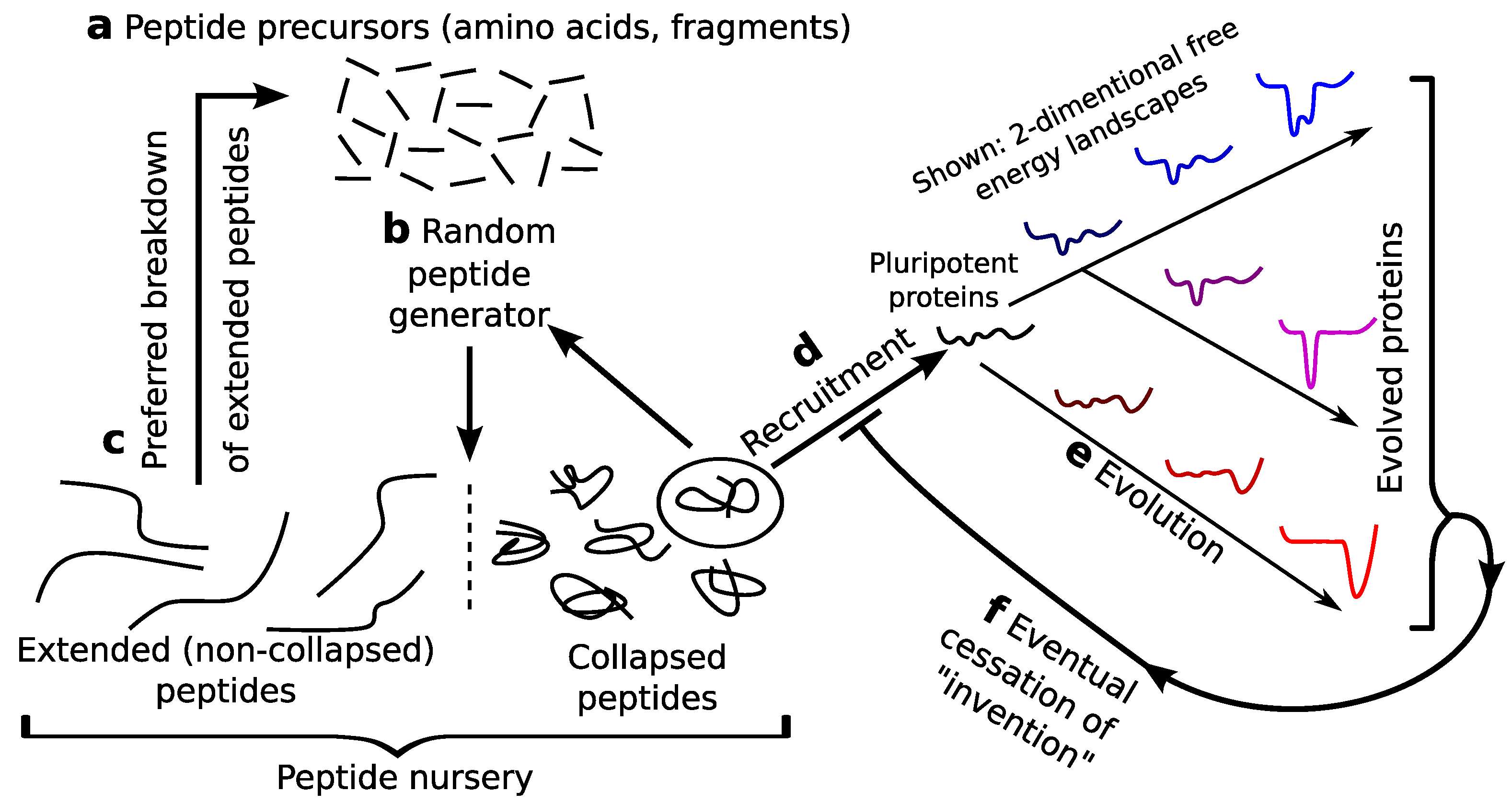Proteomes 02 00154 g004