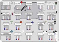 Proteomes 02 00169 g003 200