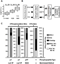 Proteomes 02 00191 g001 200