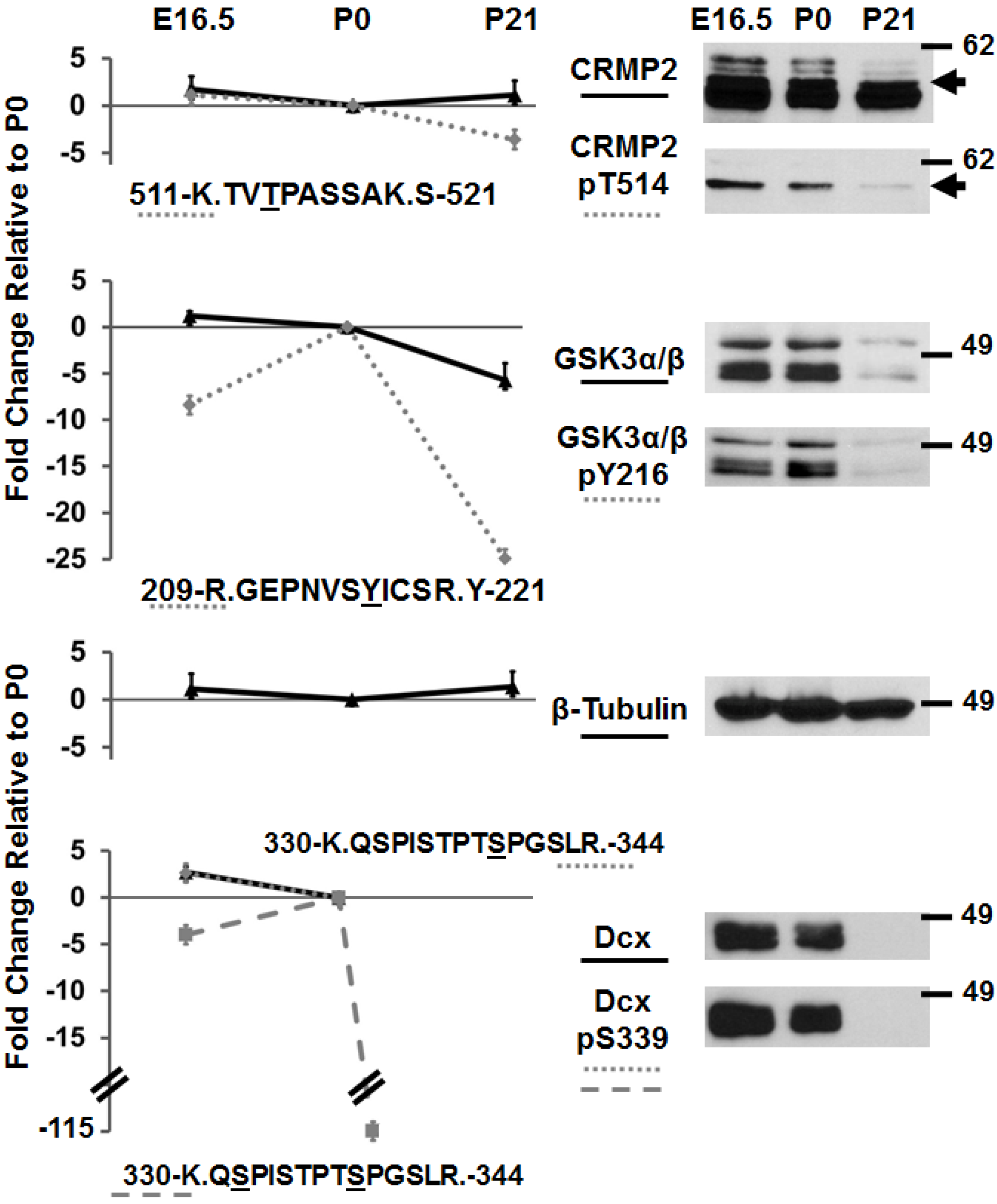 Proteomes 02 00191 g002
