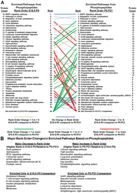 Proteomes 02 00191 g004 200