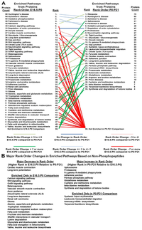 Proteomes 02 00191 g005 200