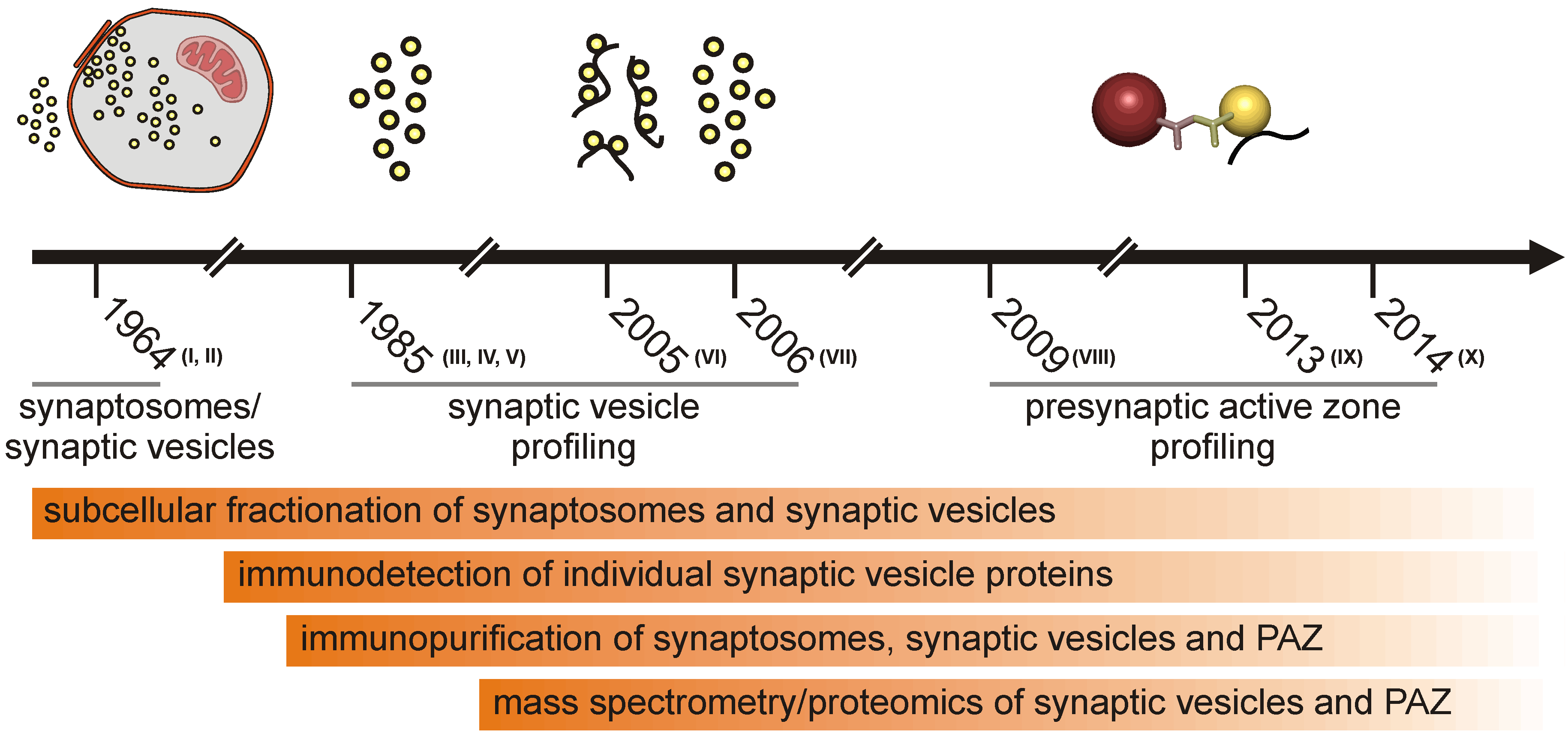 Proteomes 02 00243 g001