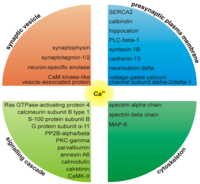 Proteomes 02 00243 g003 200