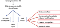Proteomes 02 00272 g001 200