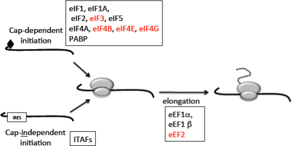 Proteomes 02 00272 g002 1024