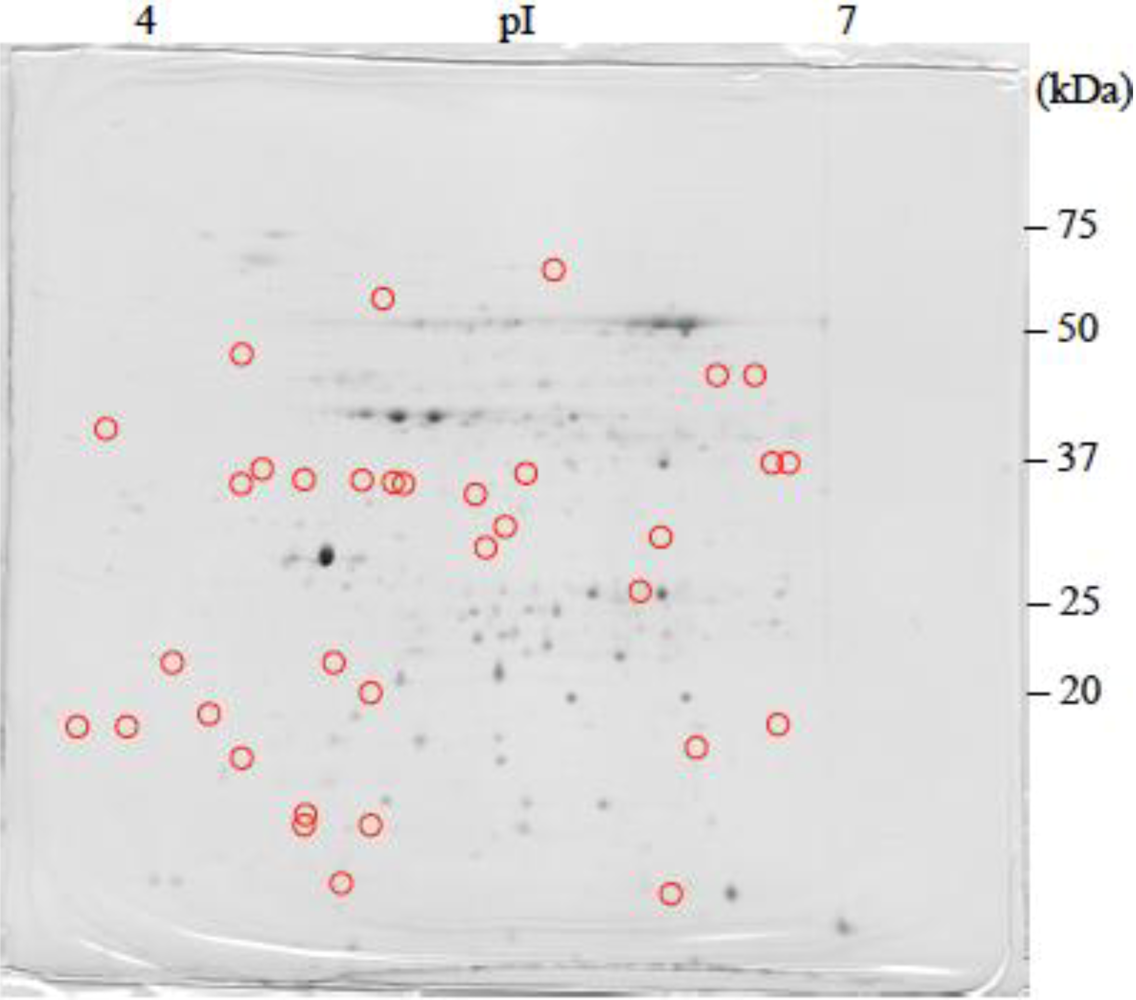Proteomes 02 00323 g002