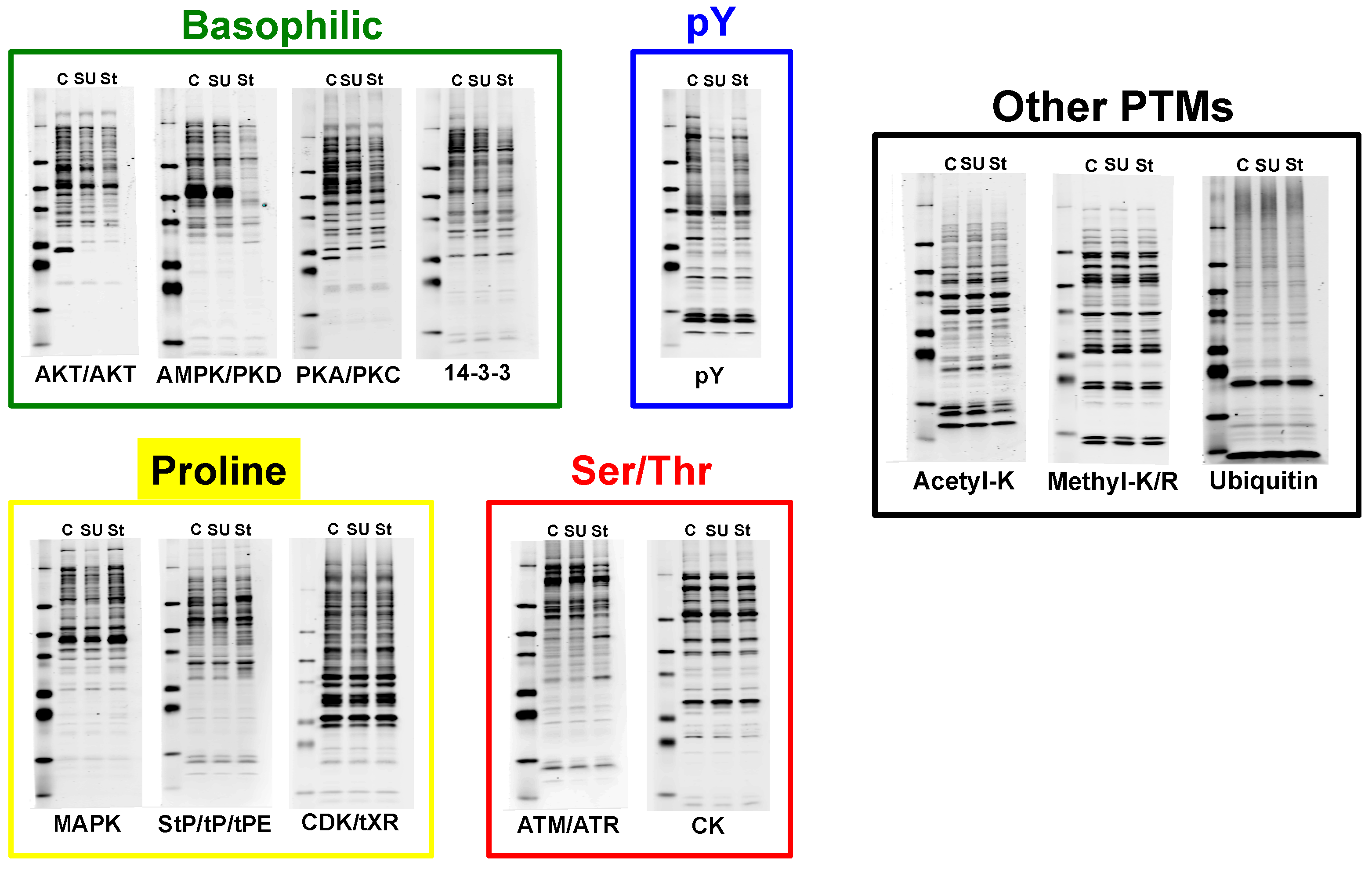 Proteomes 03 00160 g002