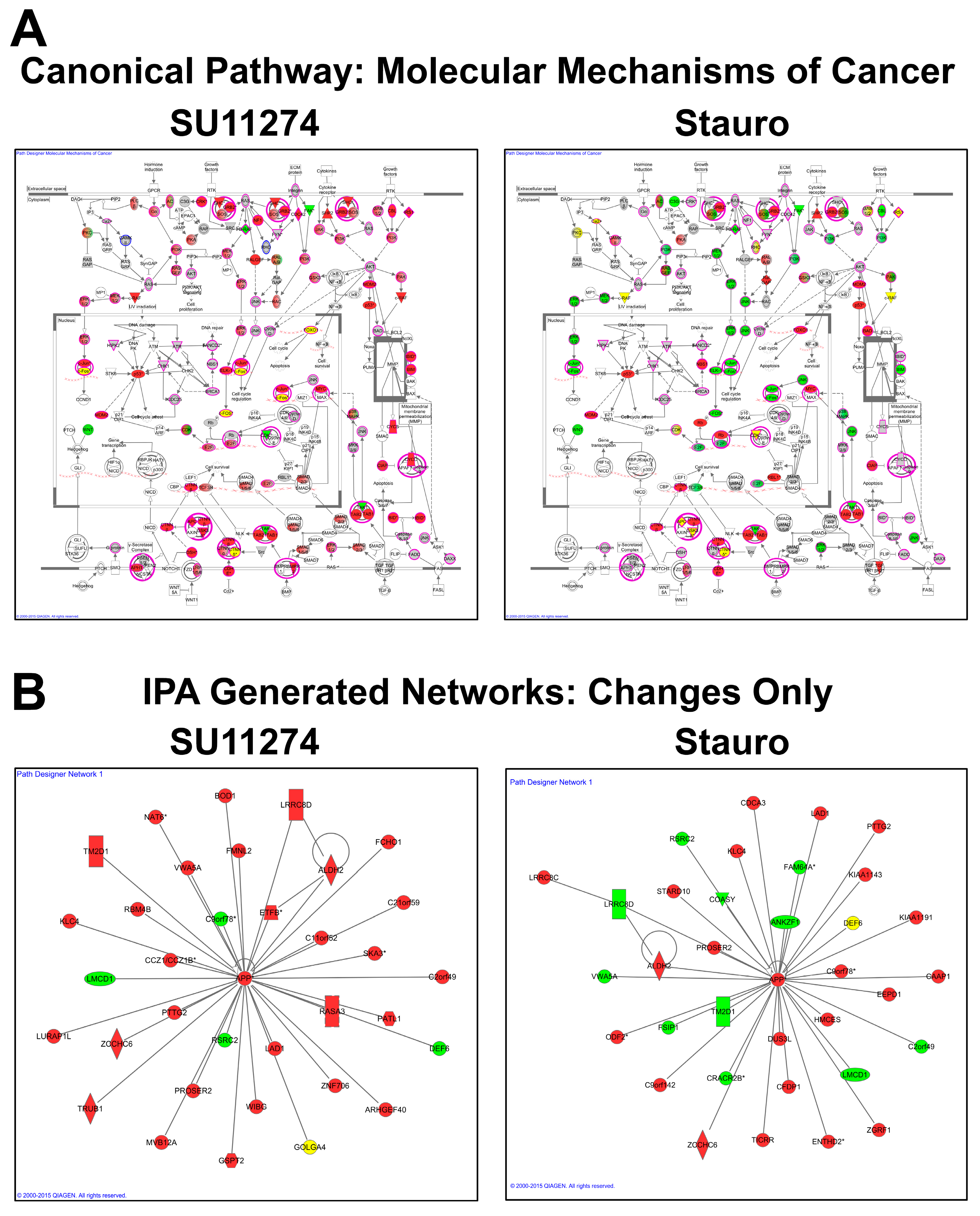 Proteomes 03 00160 g006