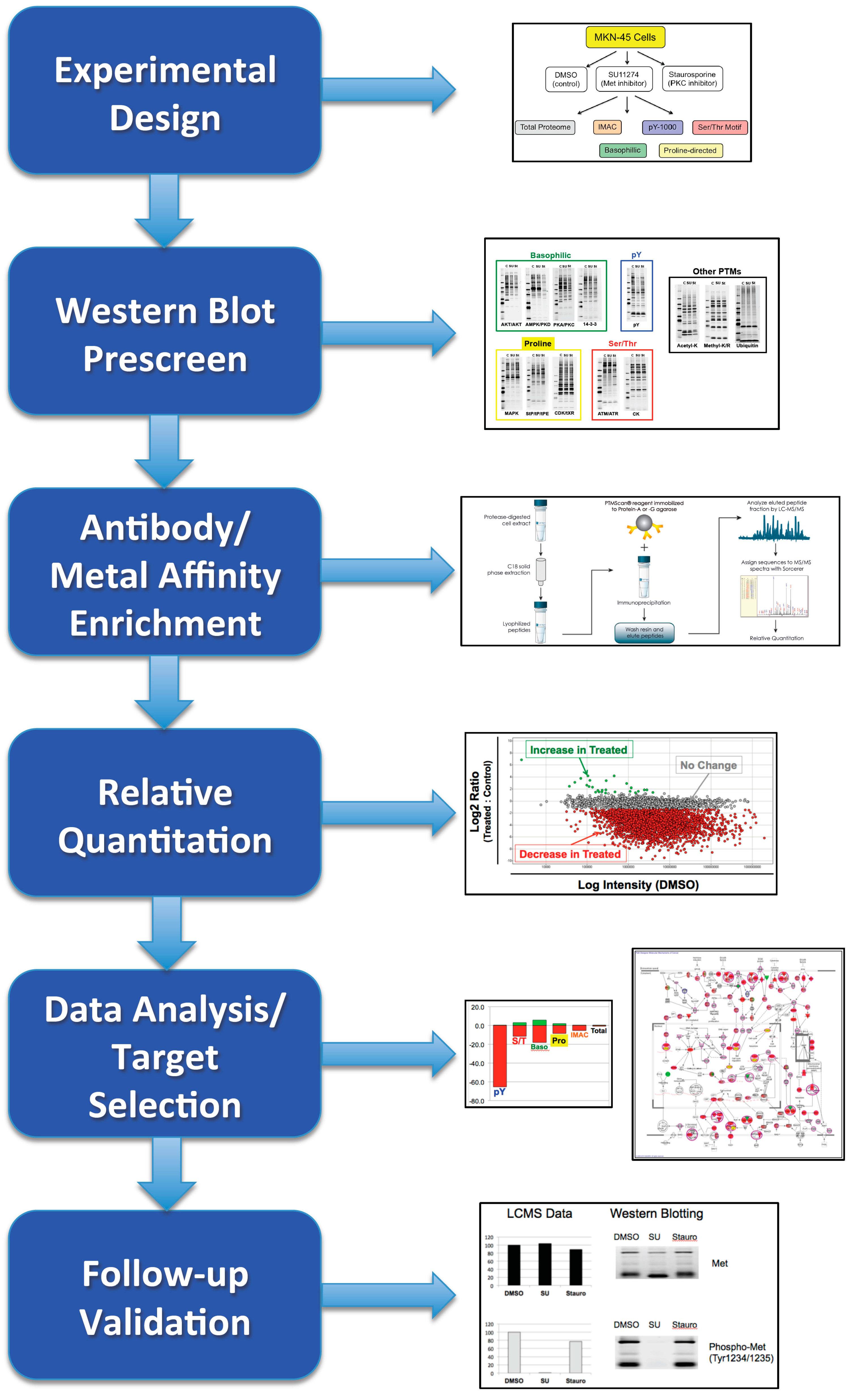 Proteomes 03 00160 g007