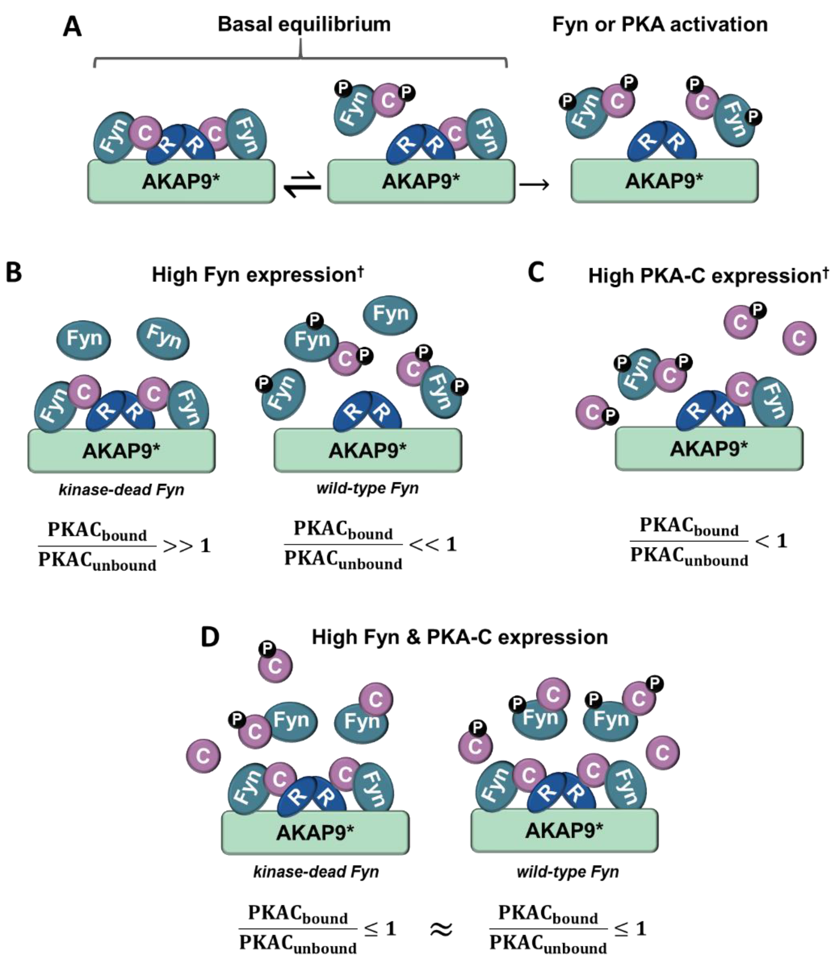 Proteomes 06 00037 g008