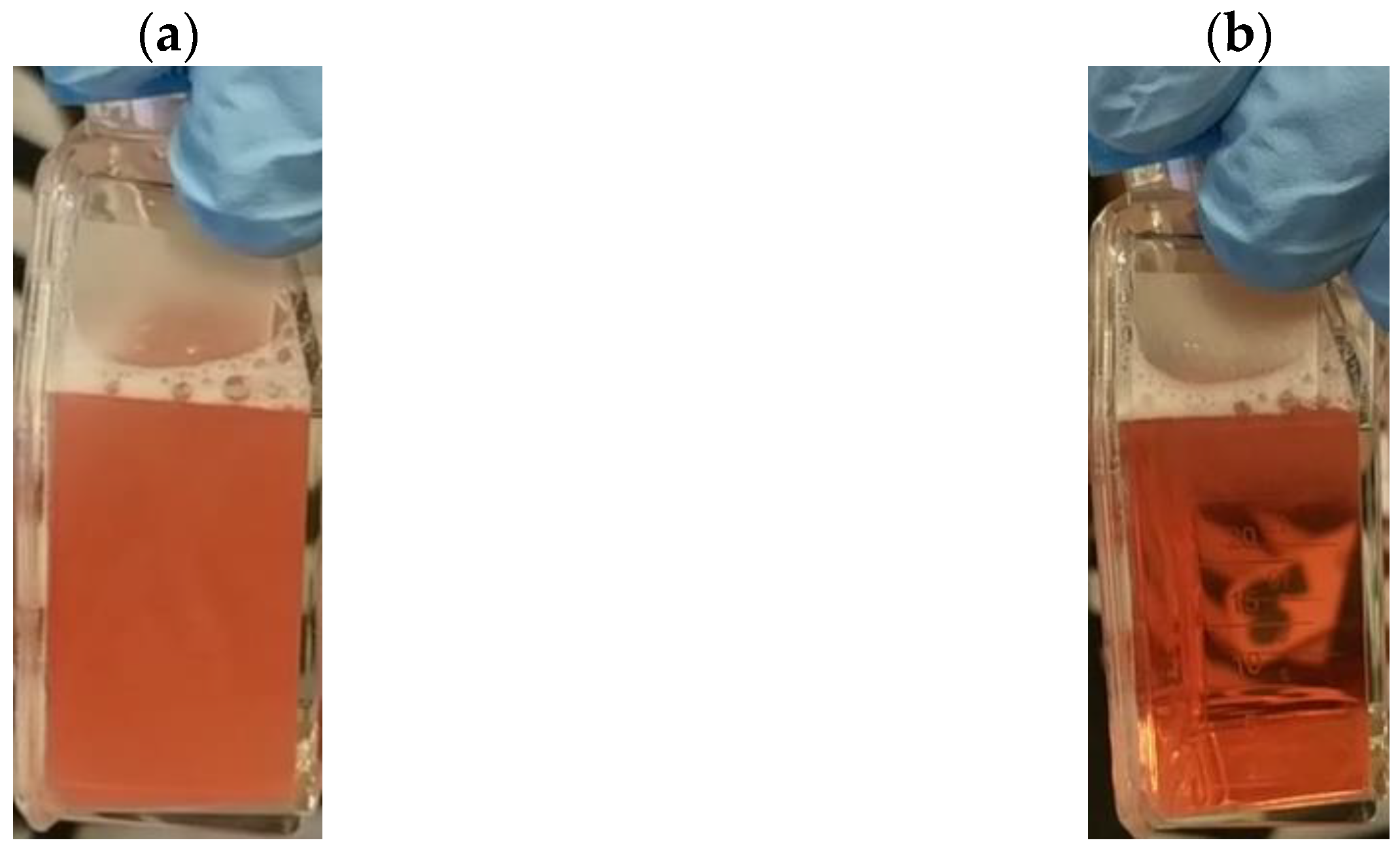 Radiation 03 00013 g001