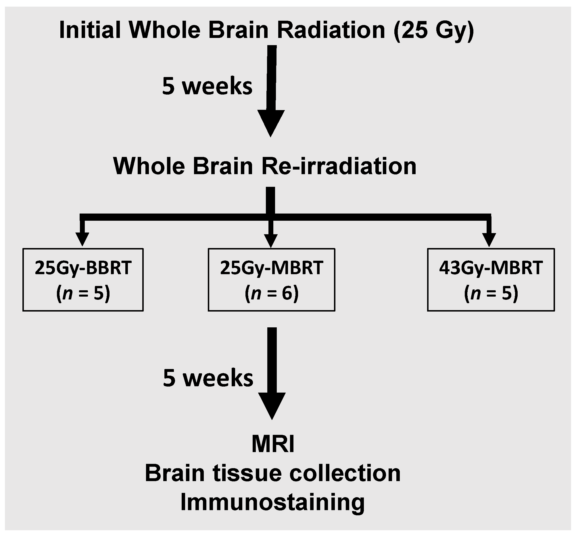 Radiation 04 00010 g001