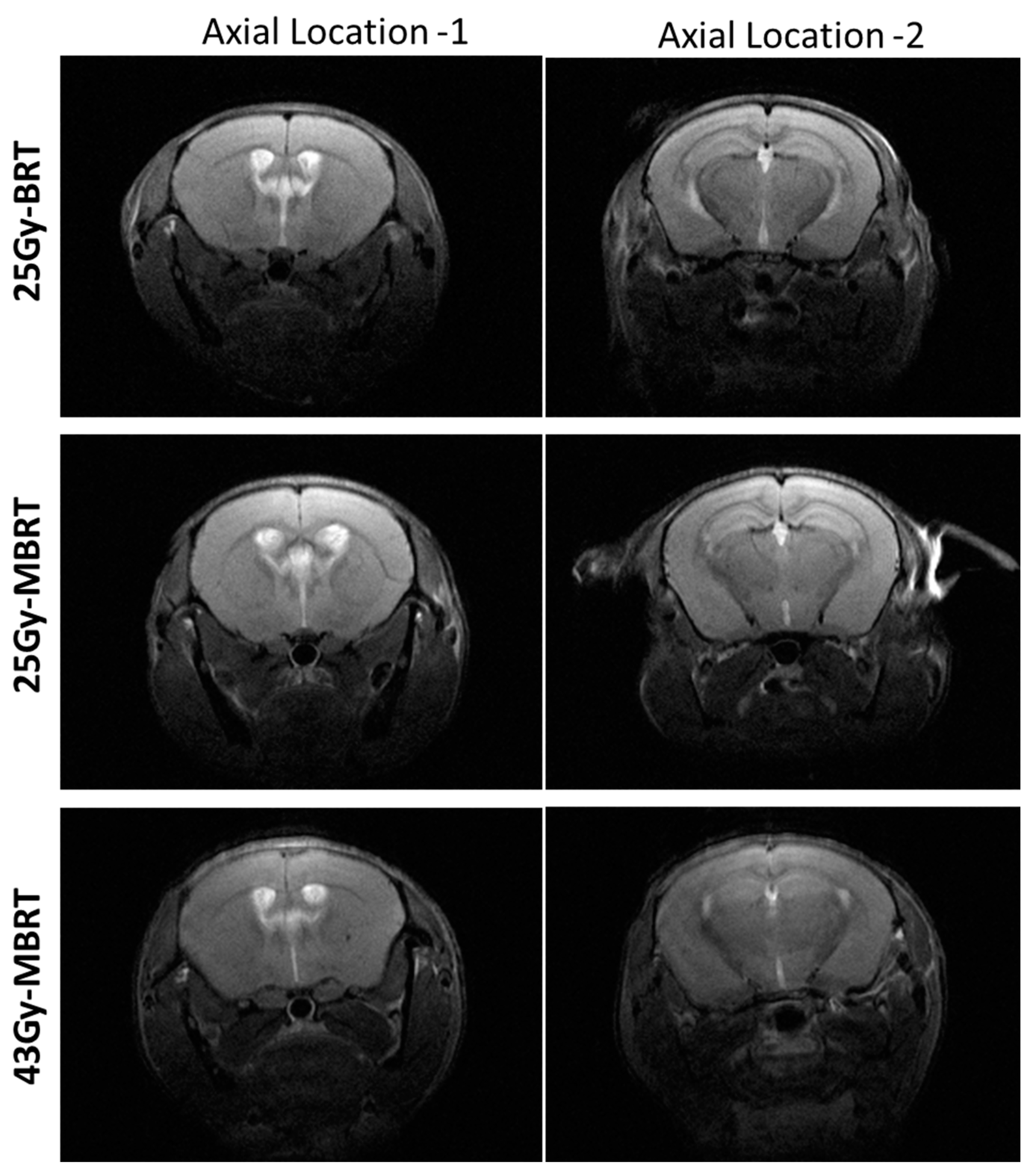 Radiation 04 00010 g005