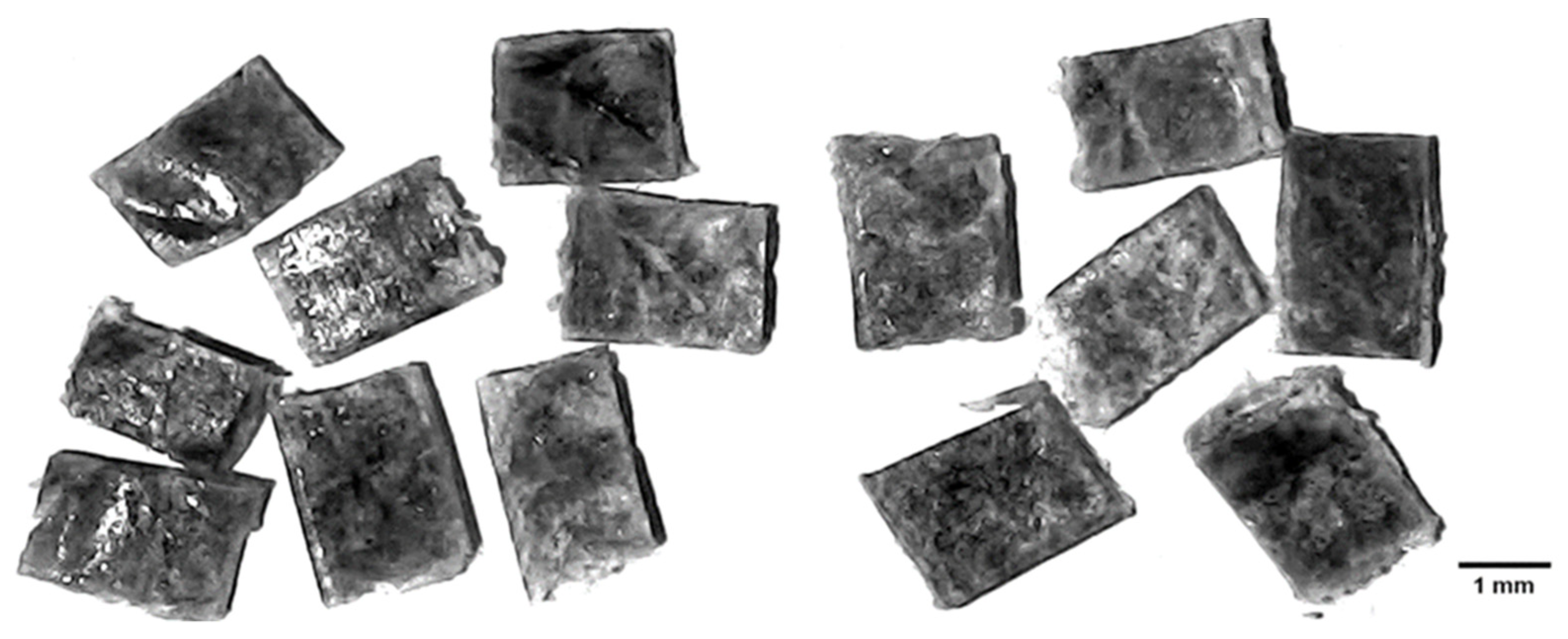 Recycling 07 00078 g001