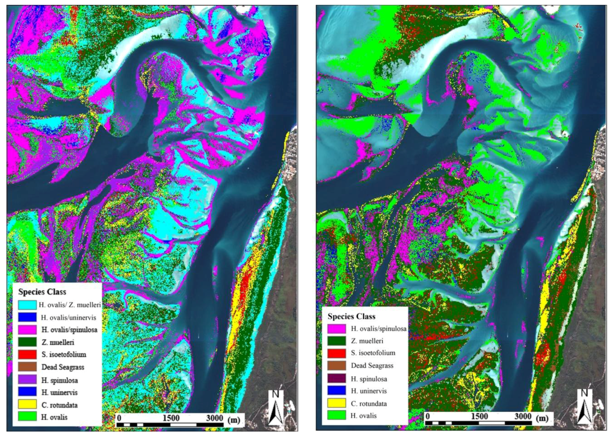 contribution of remote sensing in mapping A remote sensing image of yellowstone national park, regarded by many as the world's first national park wcs, nasa, and other conservation and remote sensing. contribution of remote sensing in mapping A remote sensing image of yellowstone national park, regarded by many as the world's first national park wcs, nasa, and other conservation and remote sensing.